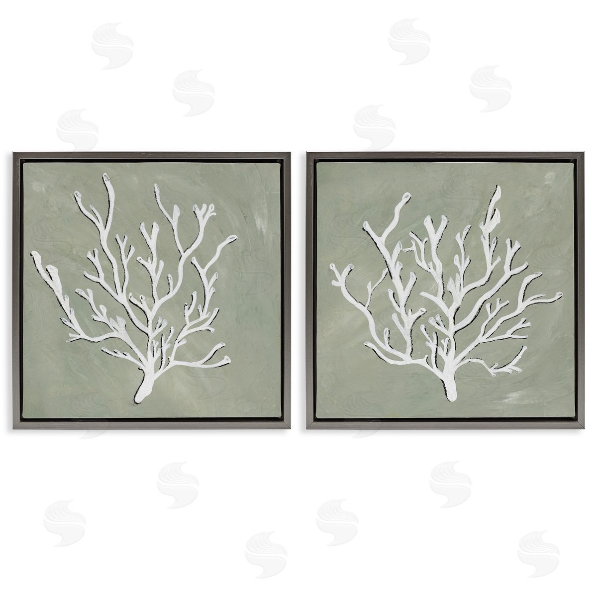 Nola James White Coral Sketch  Gray Floating Frame Canvas Wall Art Print