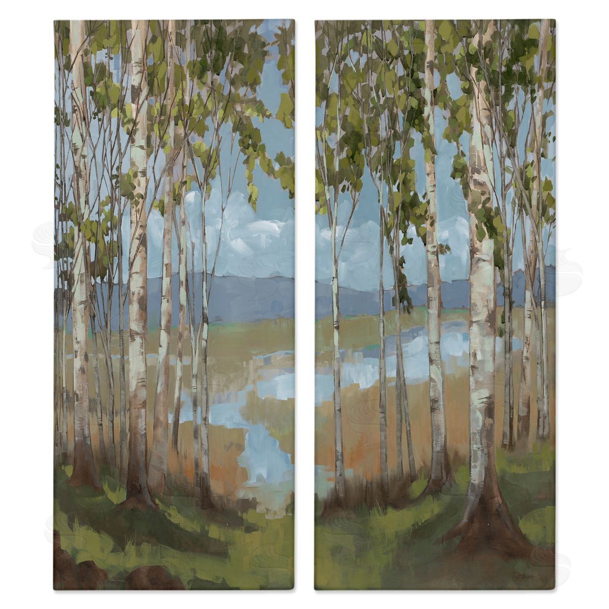Trevor Copenhaver White Birch Copse of Trees  Canvas Wall Art Print