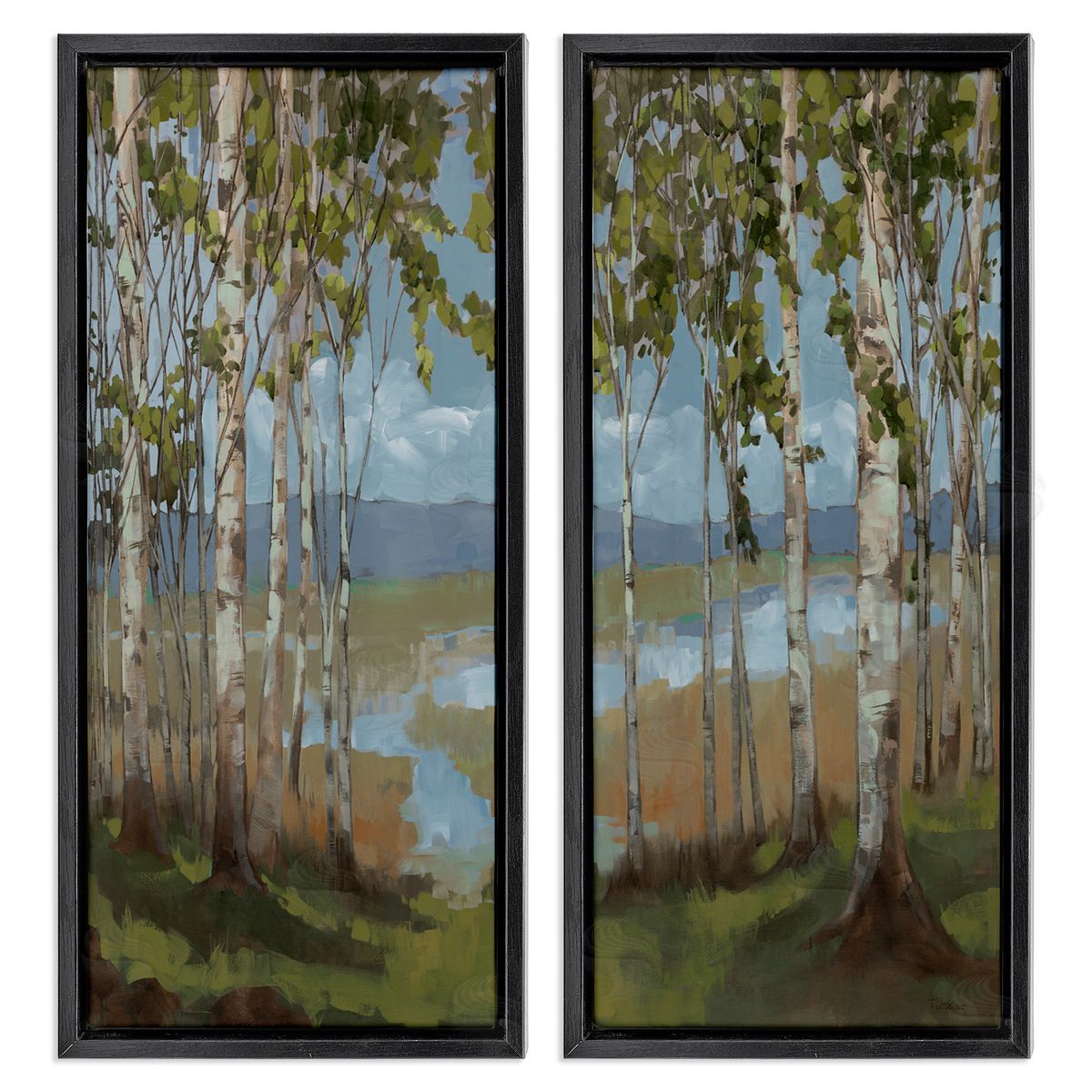 Trevor Copenhaver White Birch Copse of Trees  Black Floating Frame Canvas Wall Art Print