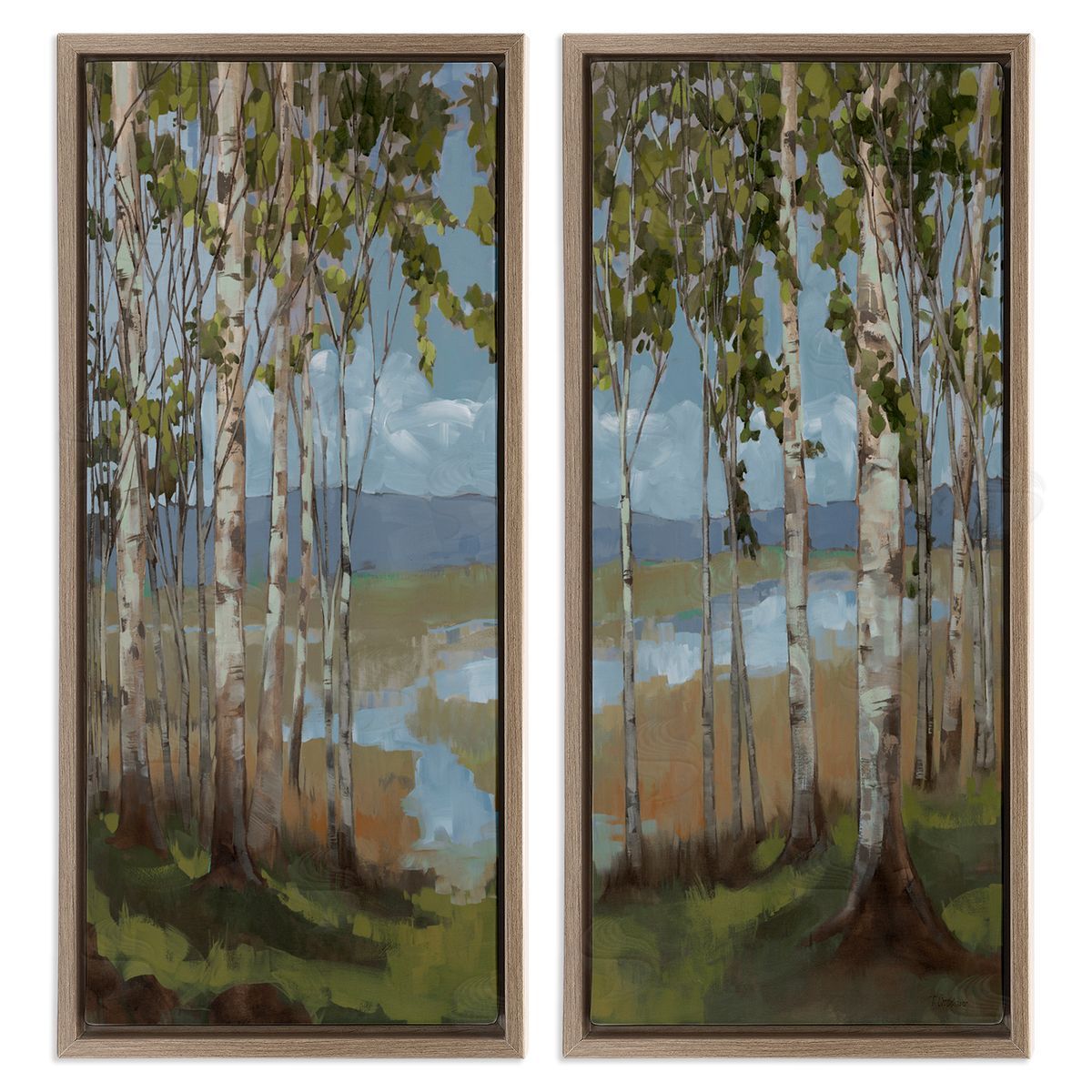 Trevor Copenhaver White Birch Copse of Trees  Brown Floating Frame Canvas Wall Art Print