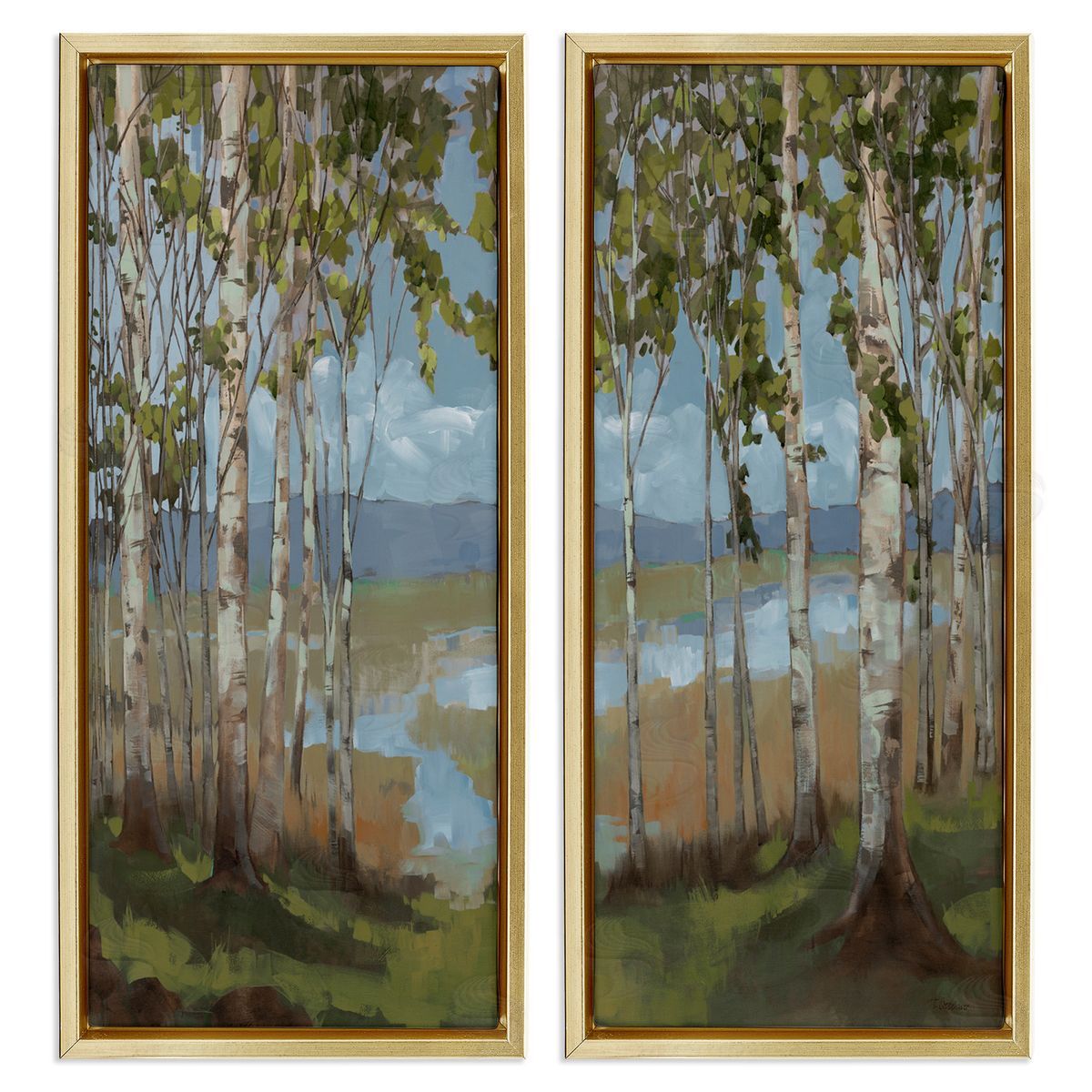 Trevor Copenhaver White Birch Copse of Trees  Gold Floating Frame Canvas Wall Art Print