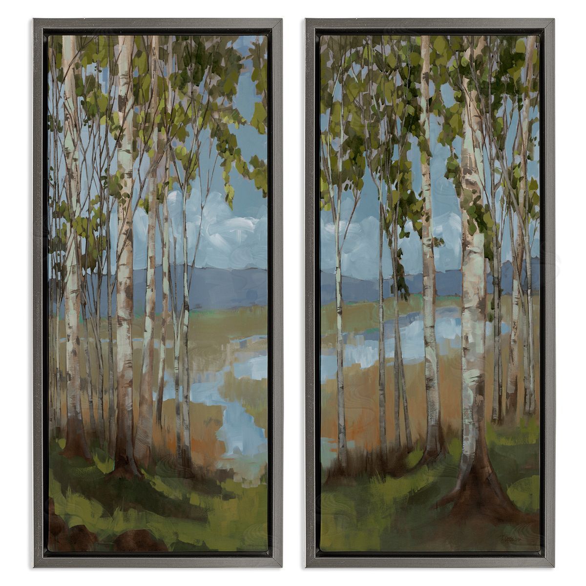 Trevor Copenhaver White Birch Copse of Trees  Gray Floating Frame Canvas Wall Art Print
