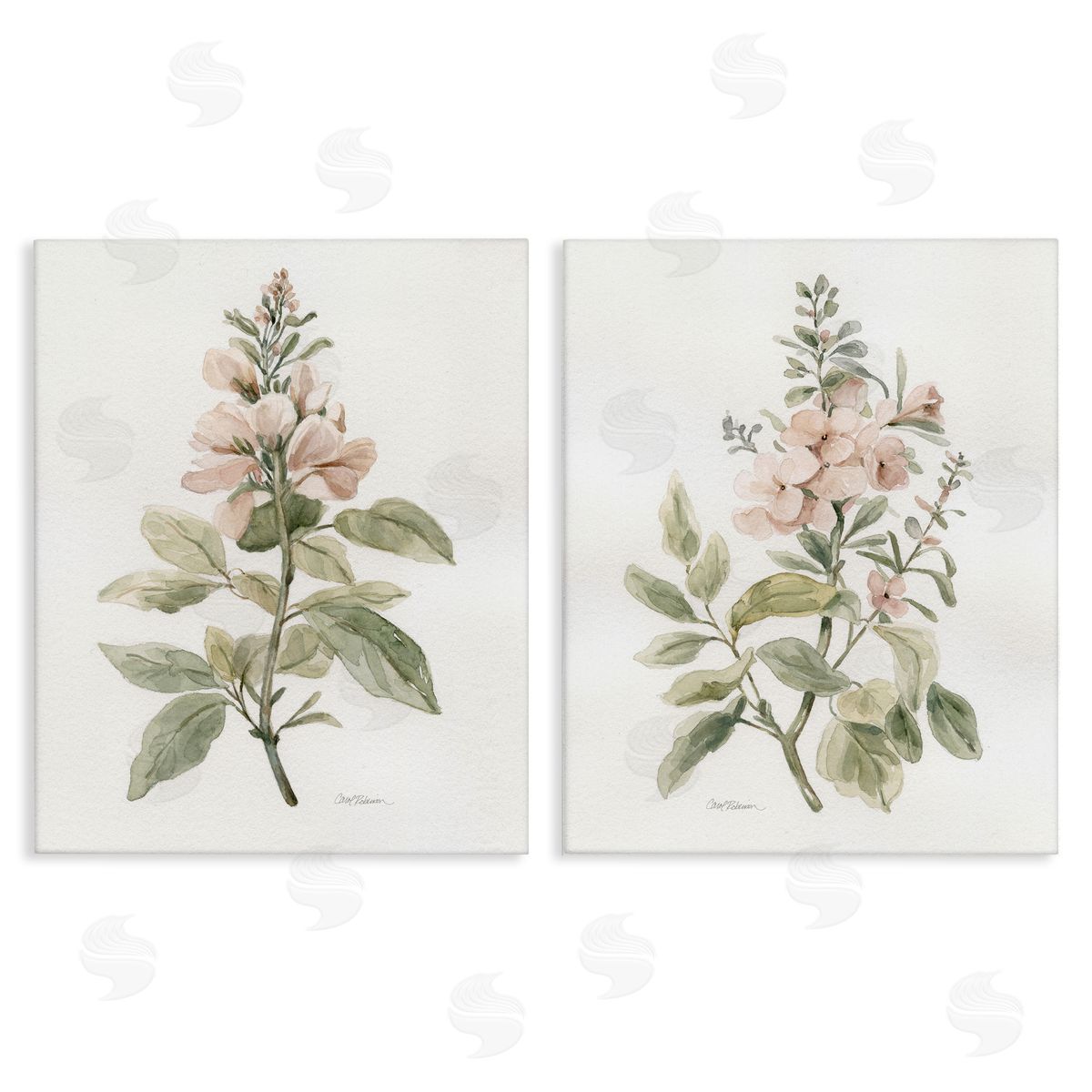Carol Robinson  Canvas Wall Art Print