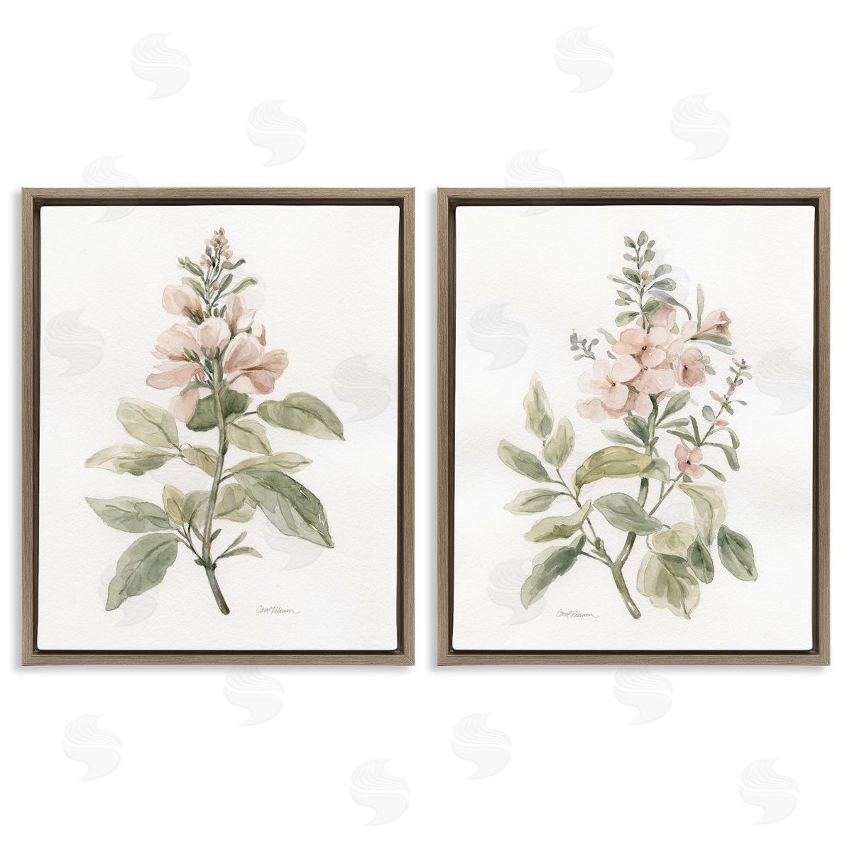 Carol Robinson  Brown Floating Frame Canvas Wall Art Print