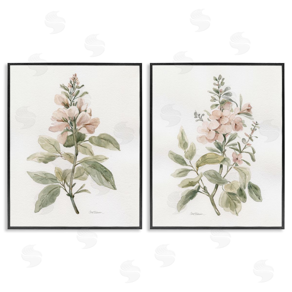 Carol Robinson  Black Framed Giclee Wall Art Print