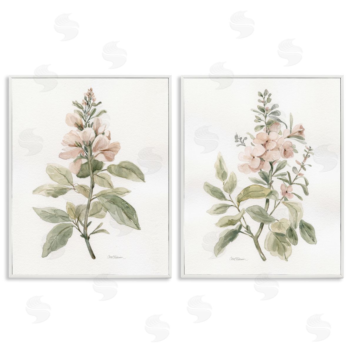 Carol Robinson  White Framed Giclee Wall Art Print