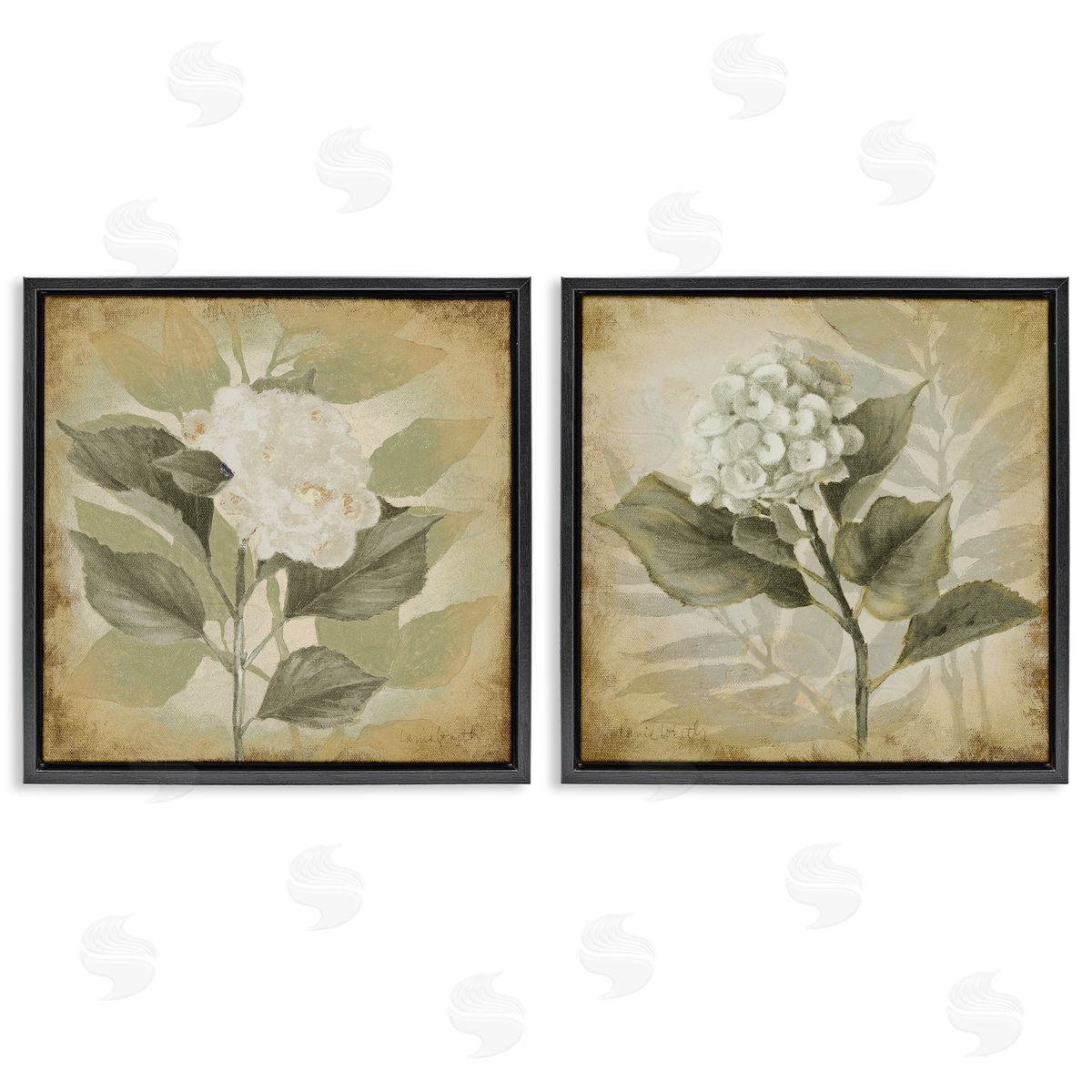 Lanie Loreth Aubergine White Hydrangeas Black Floating Frame Canvas Wall Art Print