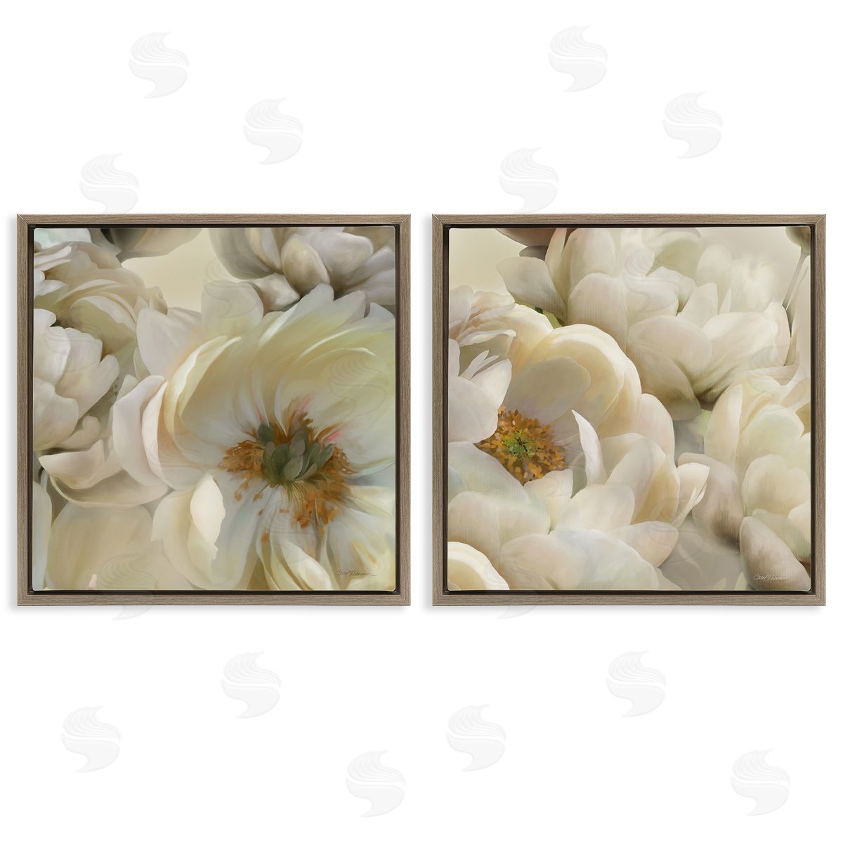 Carol Robinson White Peonies Serenity Brown Floating Frame Canvas Wall Art Print