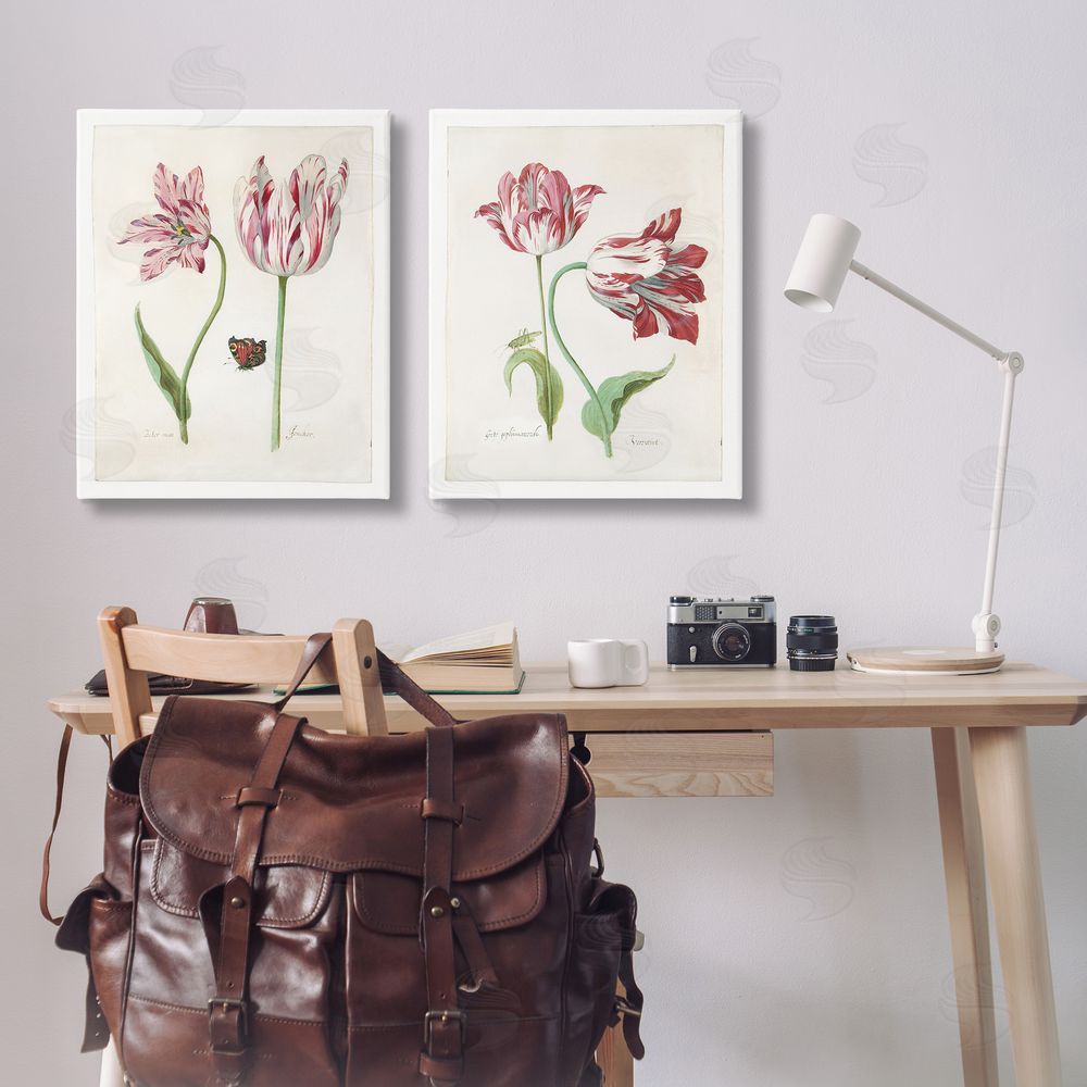 Jacob Marrel Vintage Tulip & Insect Studies Canvas Wall Art Print in Room