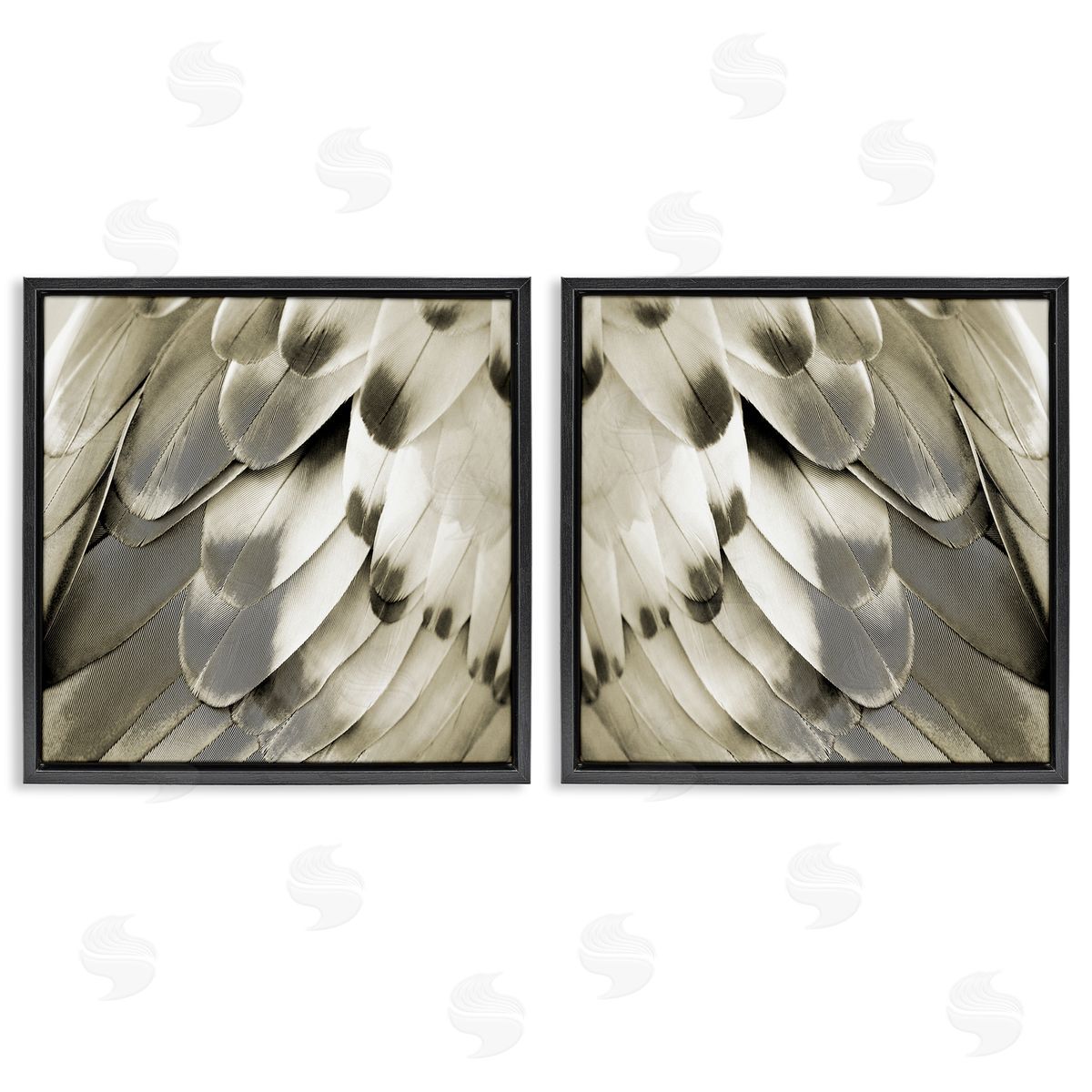 Julia Bosco Bird Feathers Vintage View Black Floating Frame Canvas Wall Art Print