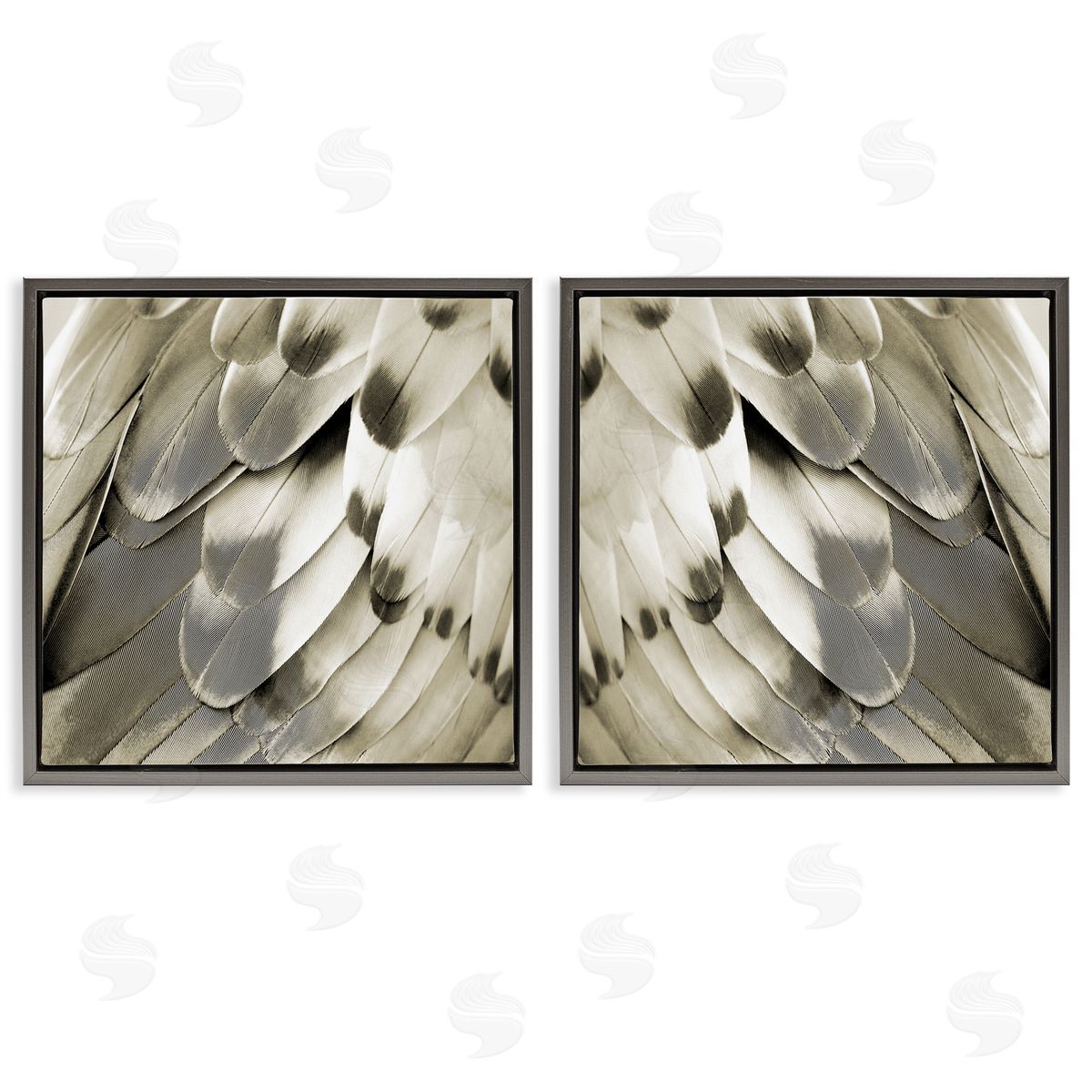 Julia Bosco Bird Feathers Vintage View Gray Floating Frame Canvas Wall Art Print