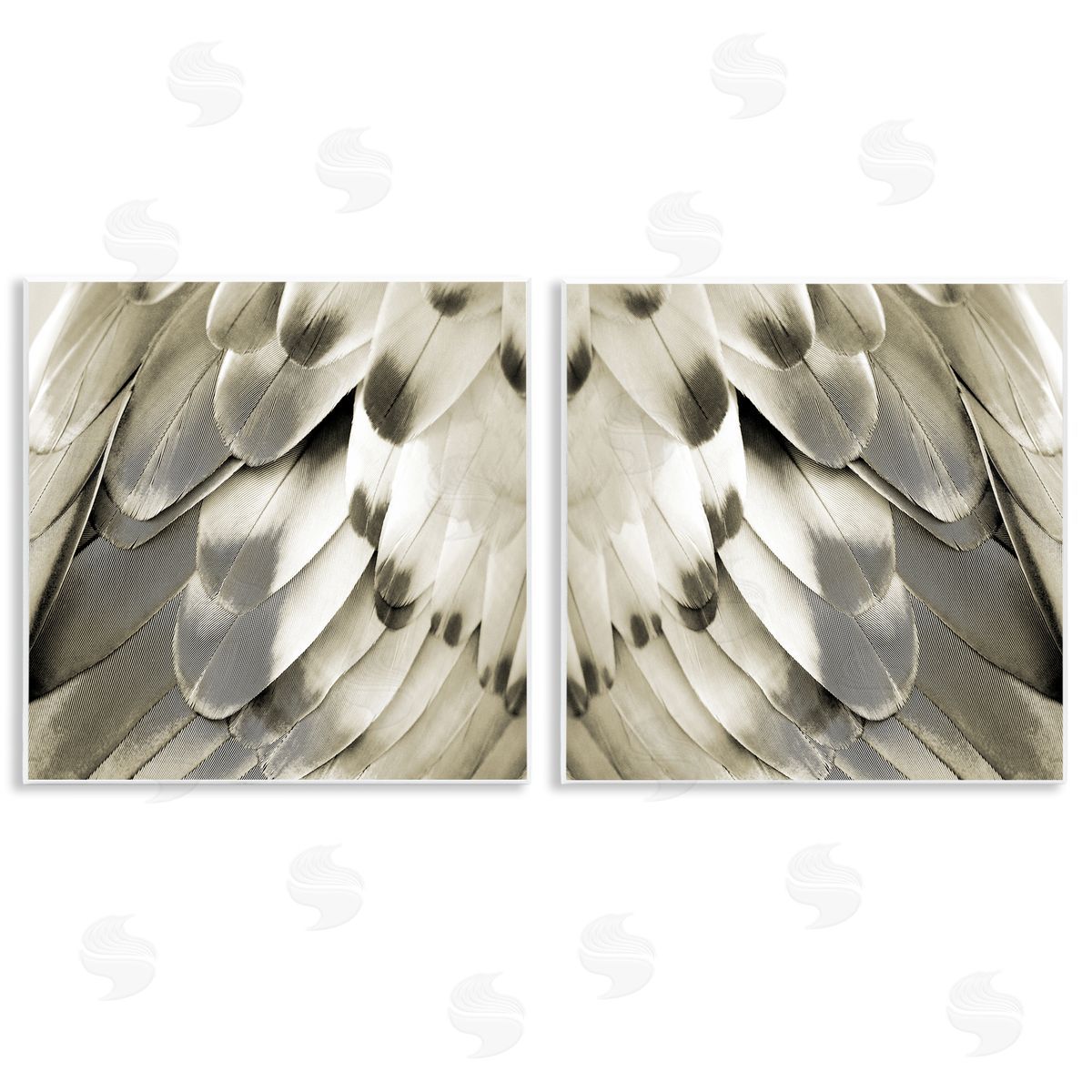 Julia Bosco Bird Feathers Vintage View Wooden Wall Plaque Art Print