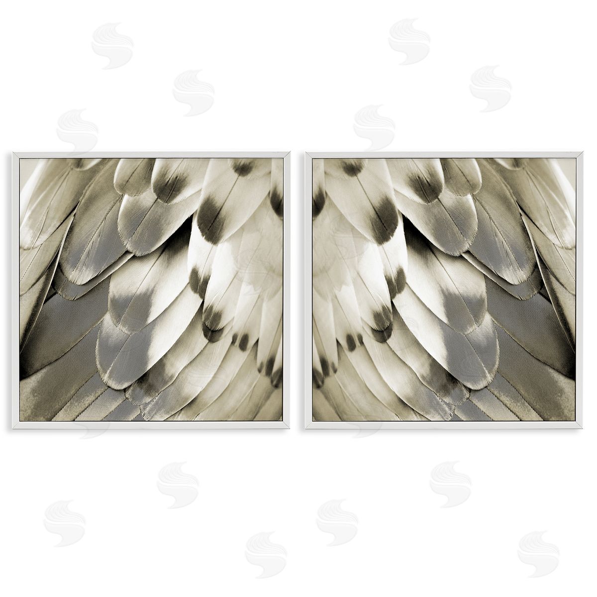 Julia Bosco Bird Feathers Vintage View White Framed Giclee Wall Art Print