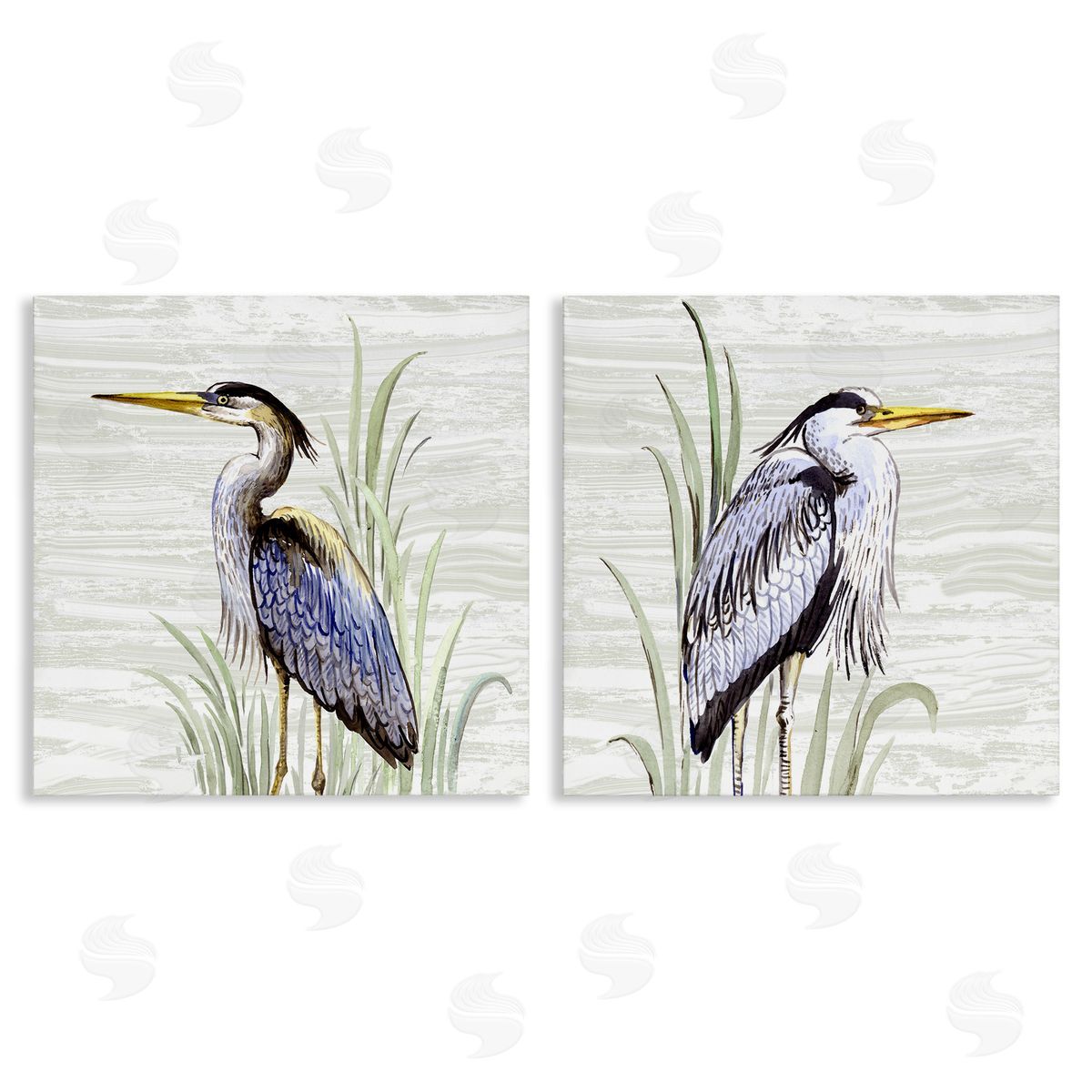 Elena Vladykina Coastal Birds on Birch Canvas Wall Art Print
