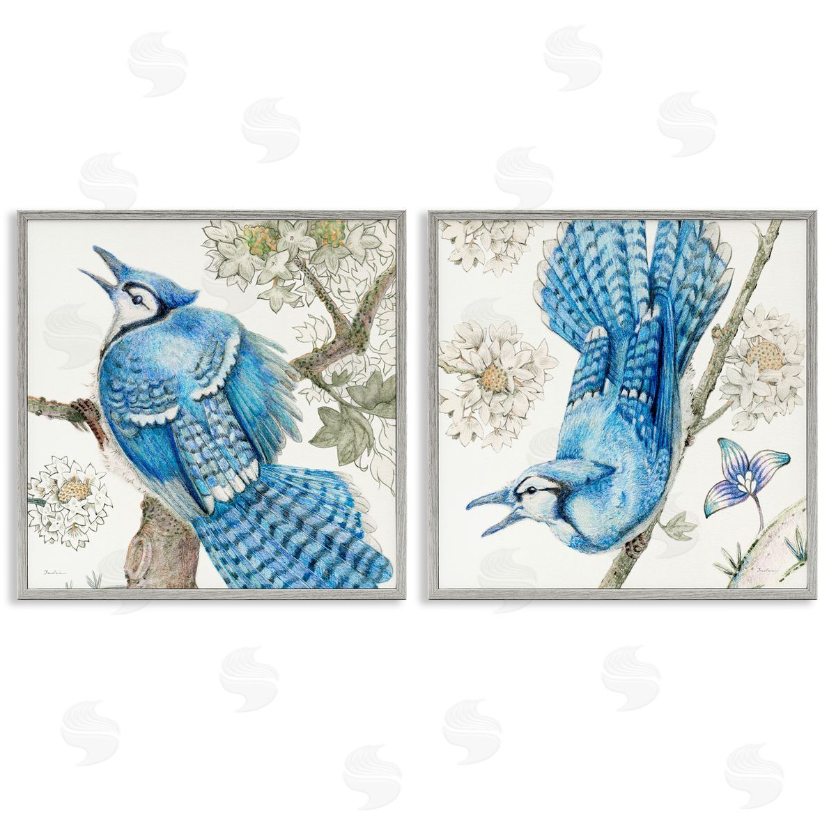 Blue Jays with White Blossoms Grey Frame Print Wall Art, Home Decor by Evelia Designs