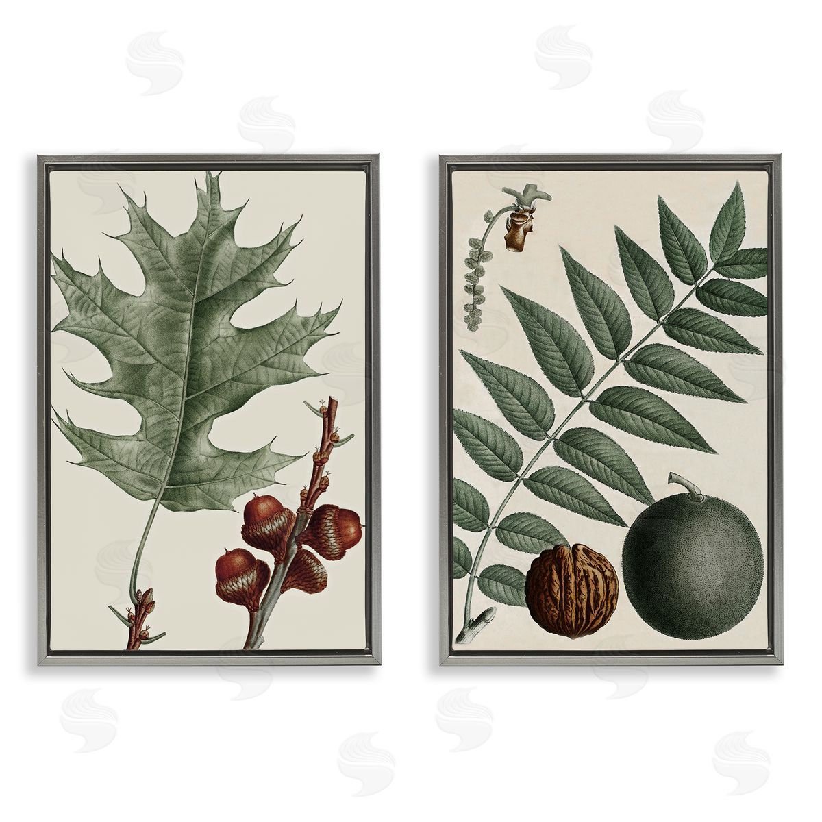 Tree Leaves & Nuts Grey Floating Frame Canvas Wall Art, Home Decor by Graffi*tee Studios