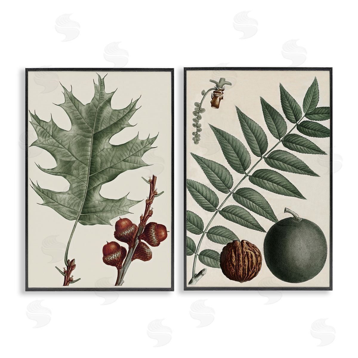 Tree Leaves & Nuts Black Frame Print Wall Art, Home Decor by Graffi*tee Studios