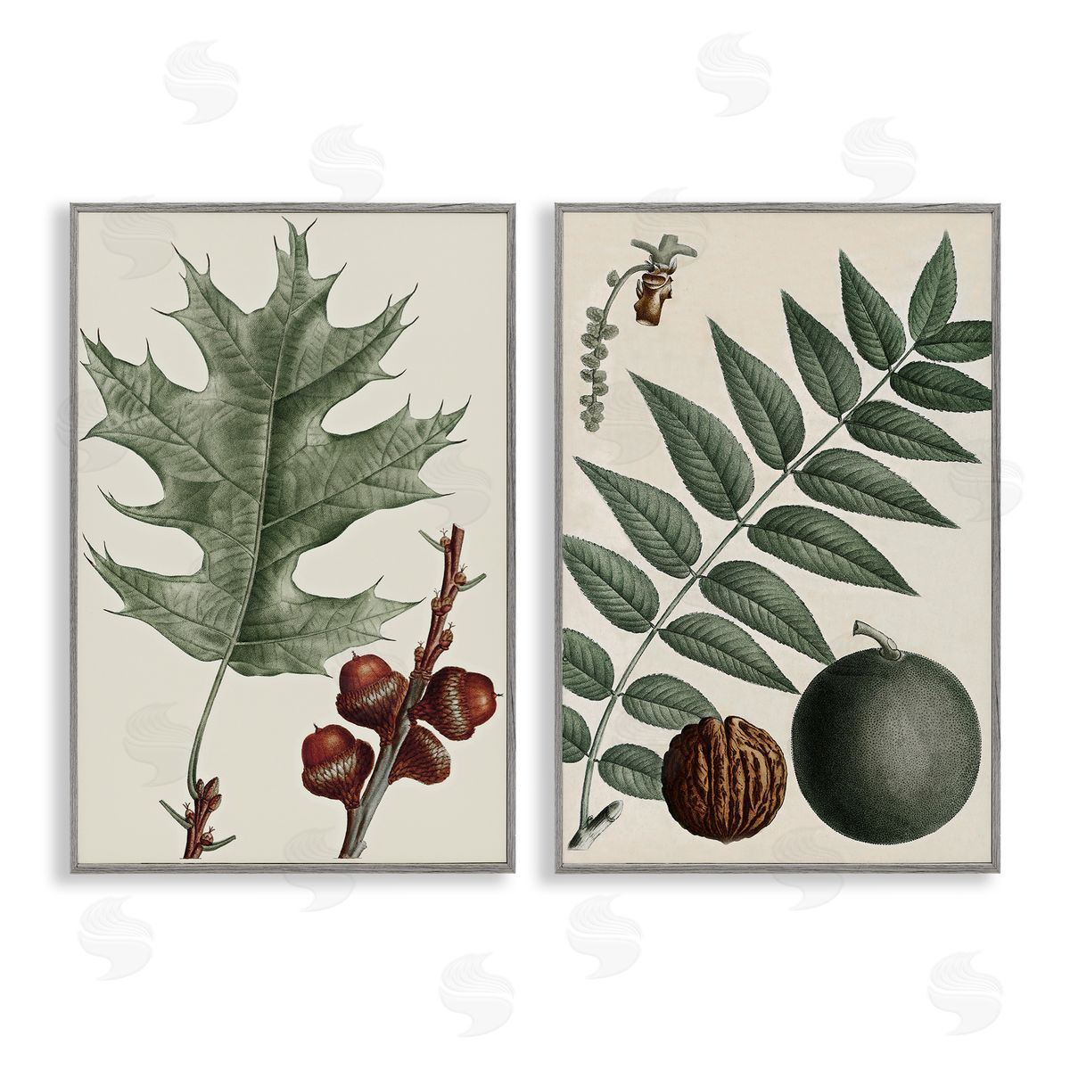 Tree Leaves & Nuts Grey Frame Print Wall Art, Home Decor by Graffi*tee Studios