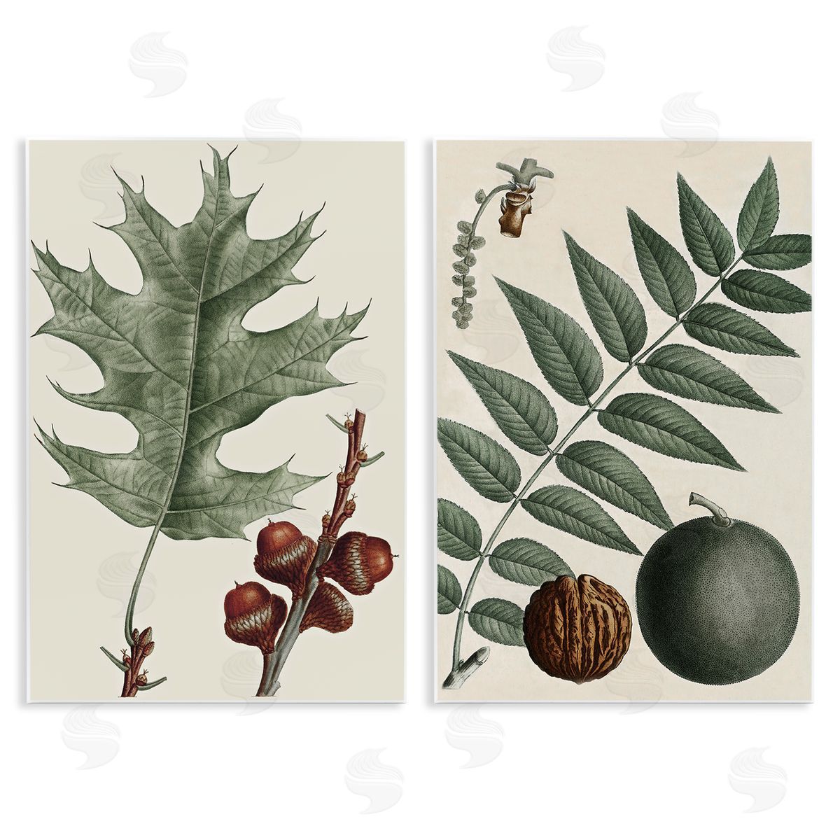 Tree Leaves & Nuts Wood Plaque Wall Art, Home Decor by Graffi*tee Studios