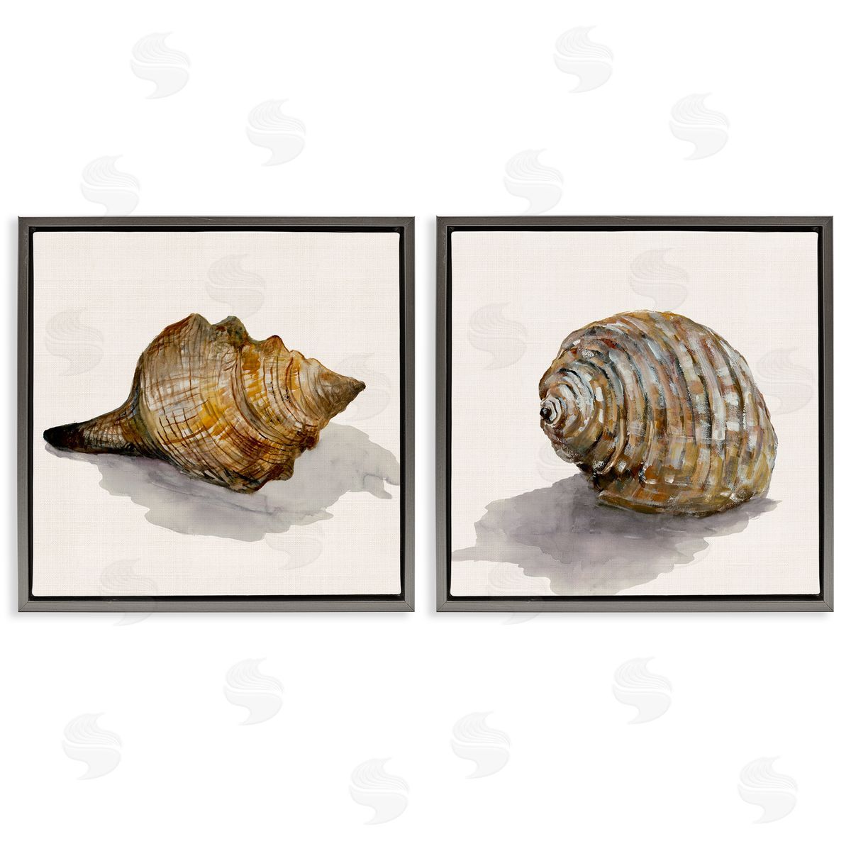 Neutral Beach Shells Grey Floating Frame Canvas Wall Art, Home Decor by Jacob Q