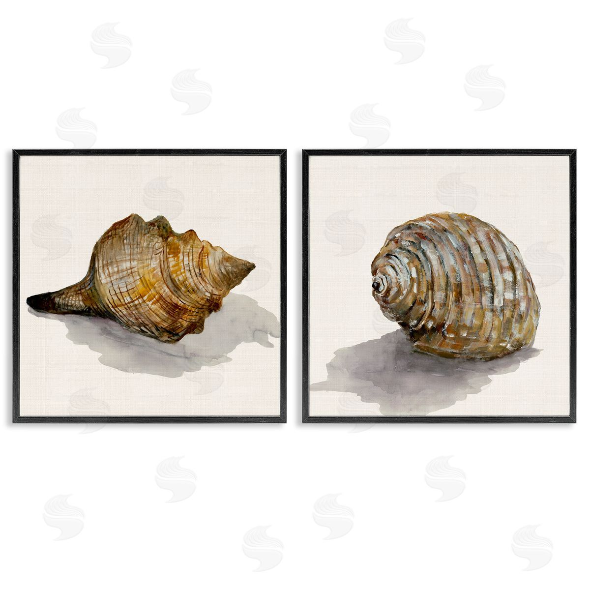Neutral Beach Shells Black Frame Print Wall Art, Home Decor by Jacob Q