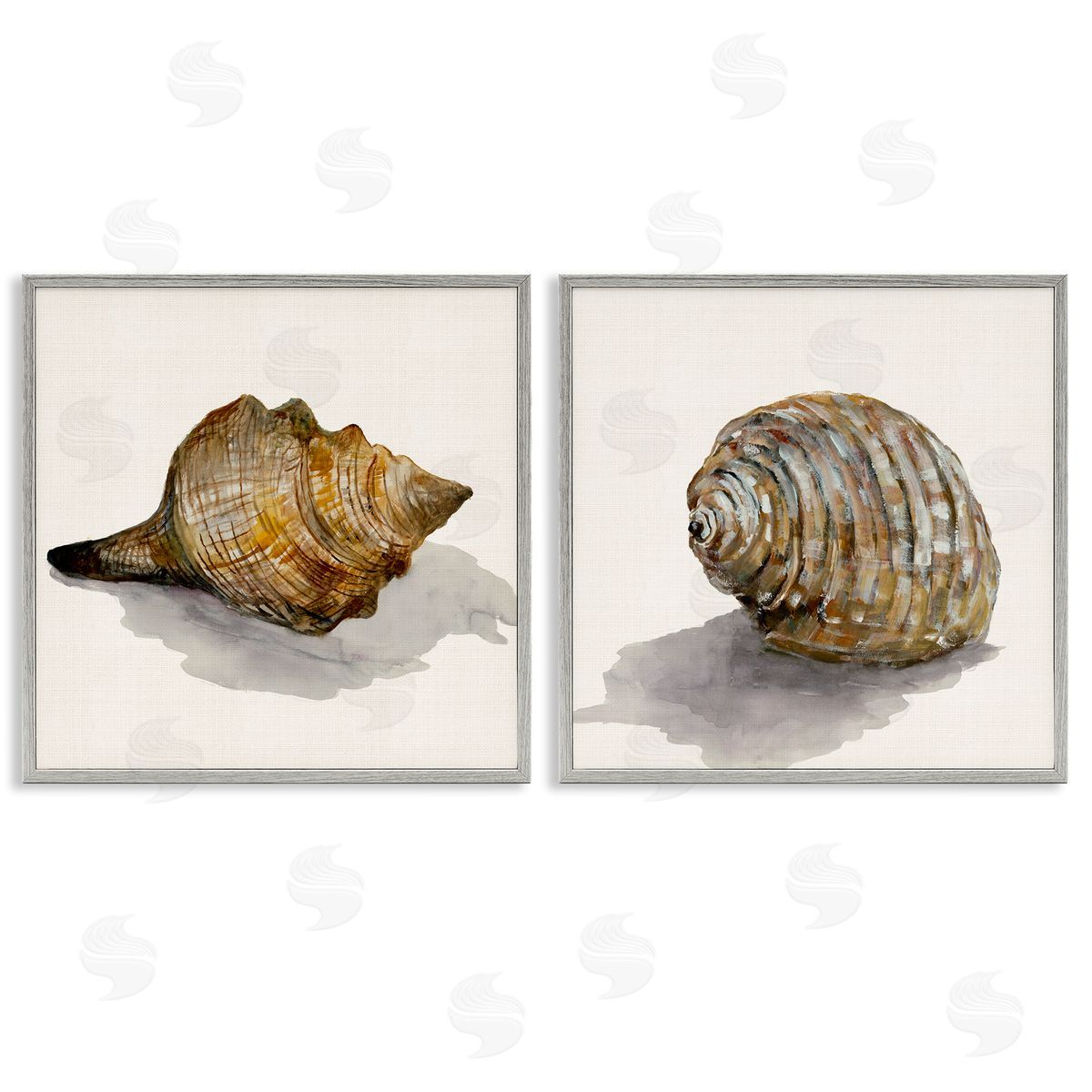 Neutral Beach Shells Grey Frame Print Wall Art, Home Decor by Jacob Q
