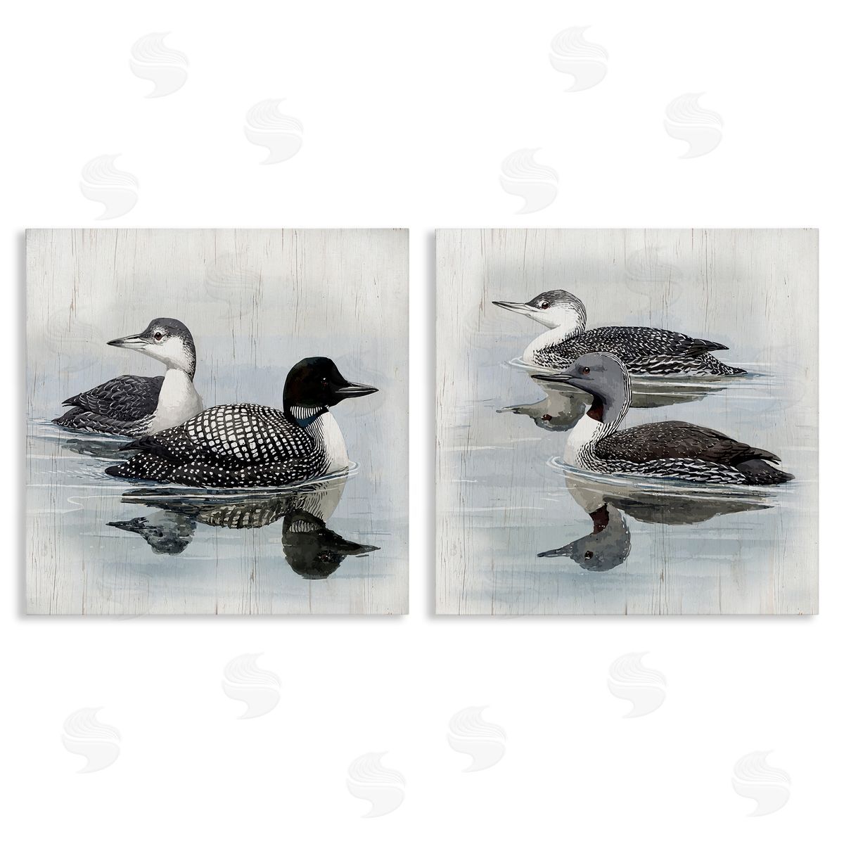 Four Loons in Lake Canvas Wall Art, Home Decor by Susan Jill