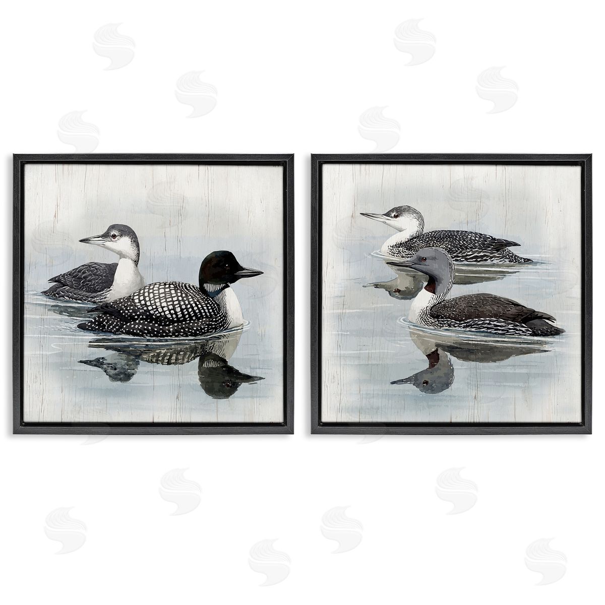 Four Loons in Lake Black Floating Frame Canvas Wall Art, Home Decor by Susan Jill