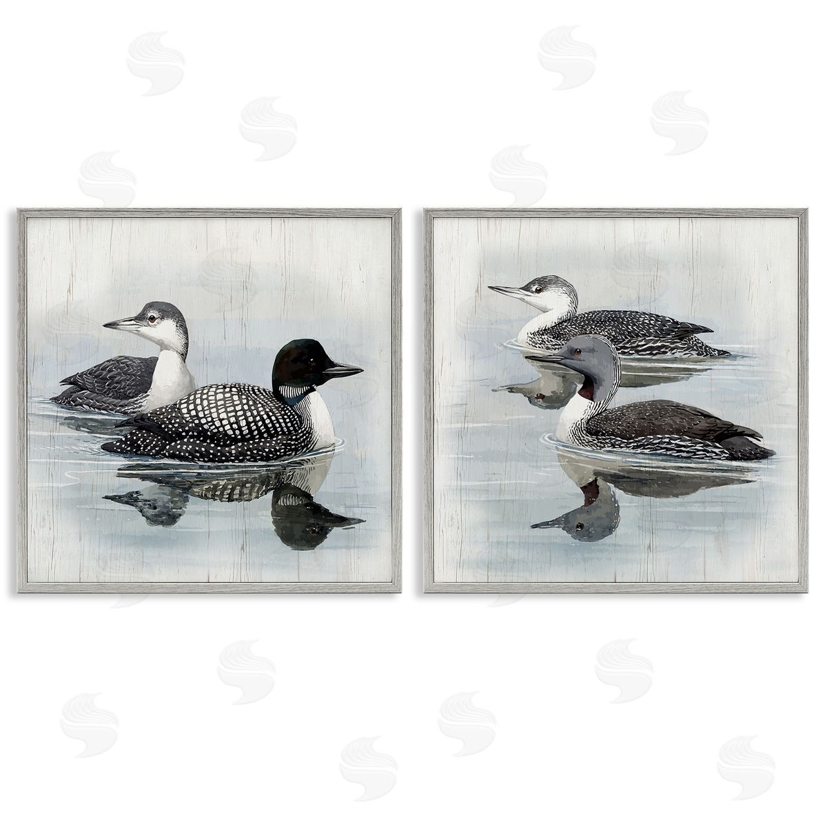 Four Loons in Lake Grey Frame Print Wall Art, Home Decor by Susan Jill
