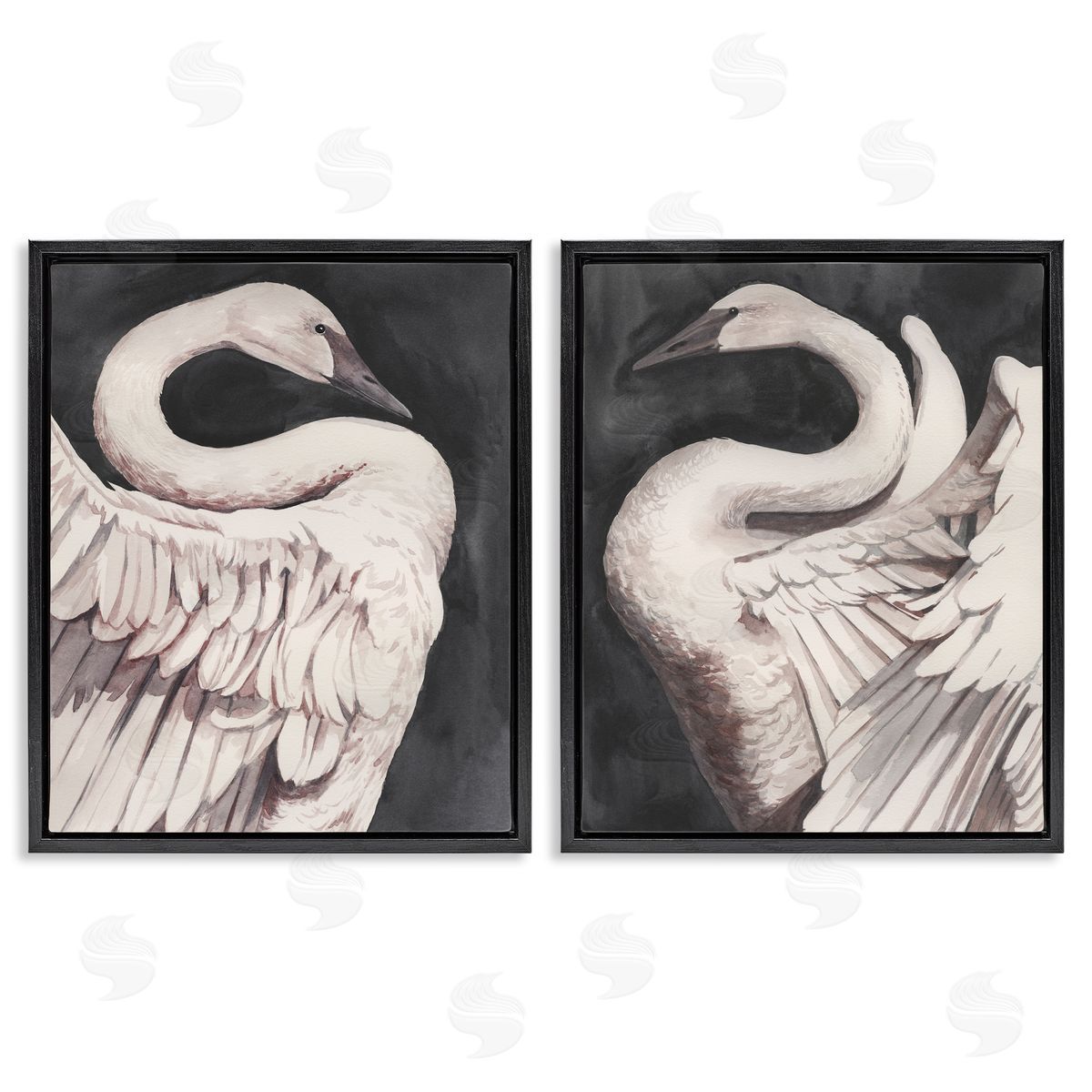 Swans Taking Flight Black Floating Frame Canvas Wall Art, Home Decor by Grace Popp