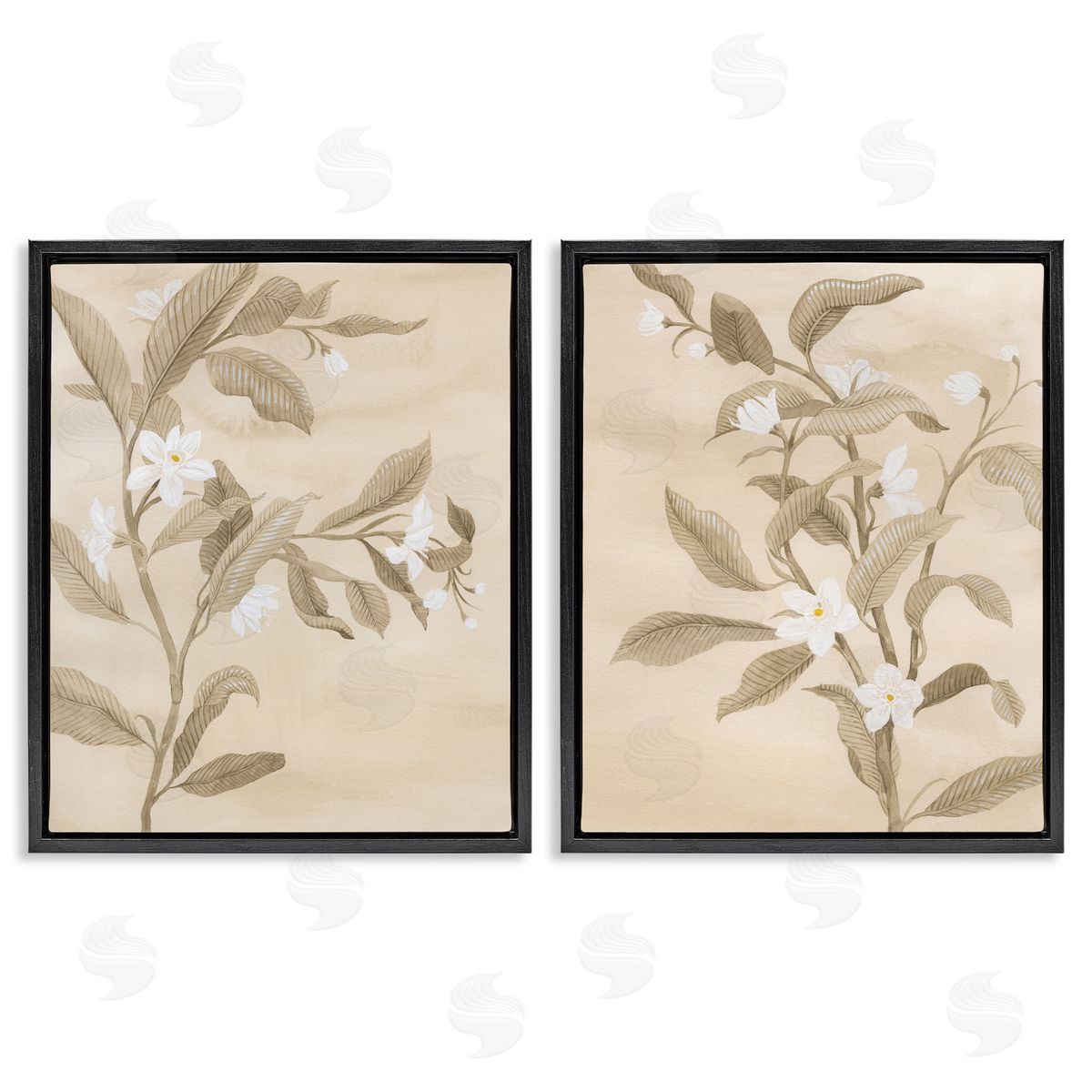 White Daffodils Budding Black Floating Frame Canvas Wall Art, Home Decor by Grace Popp