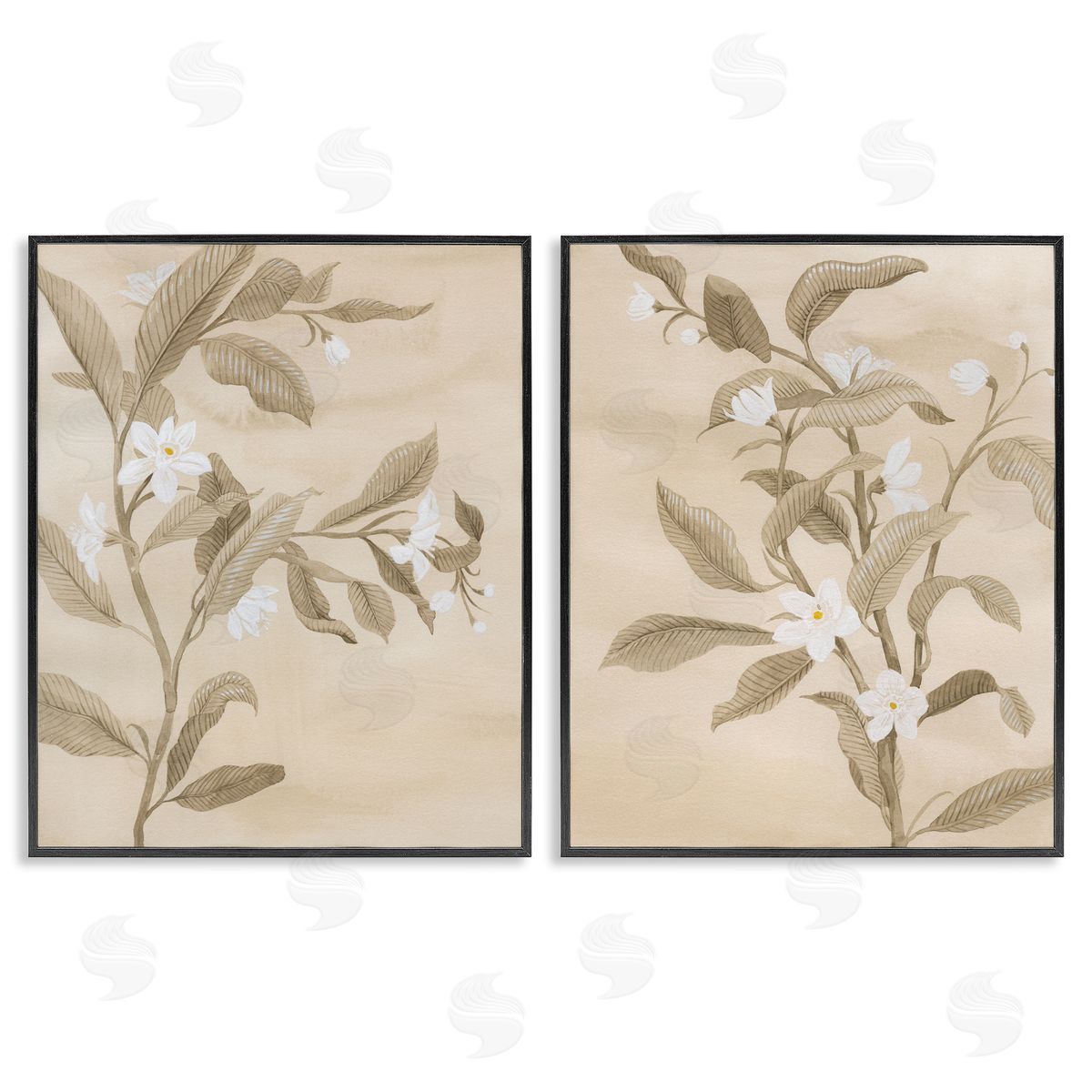 White Daffodils Budding Black Frame Print Wall Art, Home Decor by Grace Popp