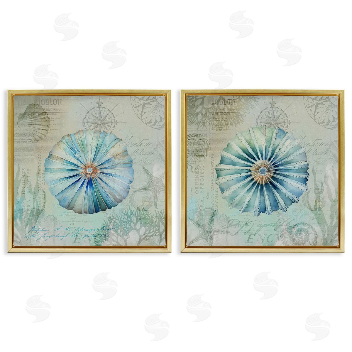 Vintage Blue Sea Urchins Gold Floating Frame Canvas Wall Art, Home Decor by Andrea Haase