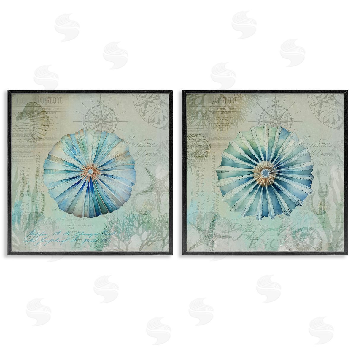 Vintage Blue Sea Urchins Black Frame Print Wall Art, Home Decor by Andrea Haase