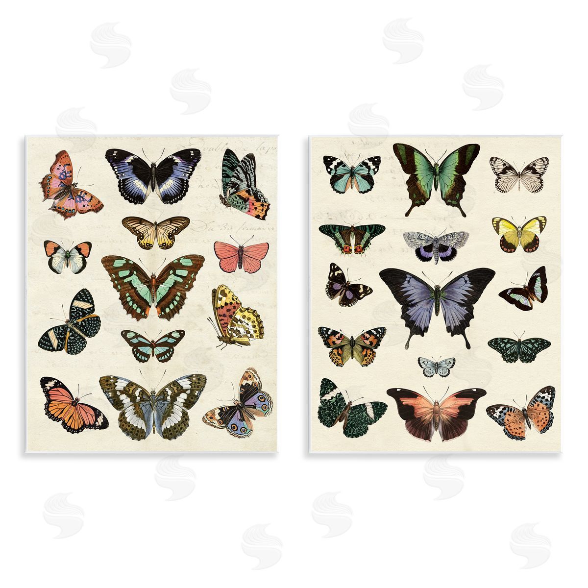 Antique Butterfly Collection Wood Plaque Wall Art, Home Decor by Susan Arnot