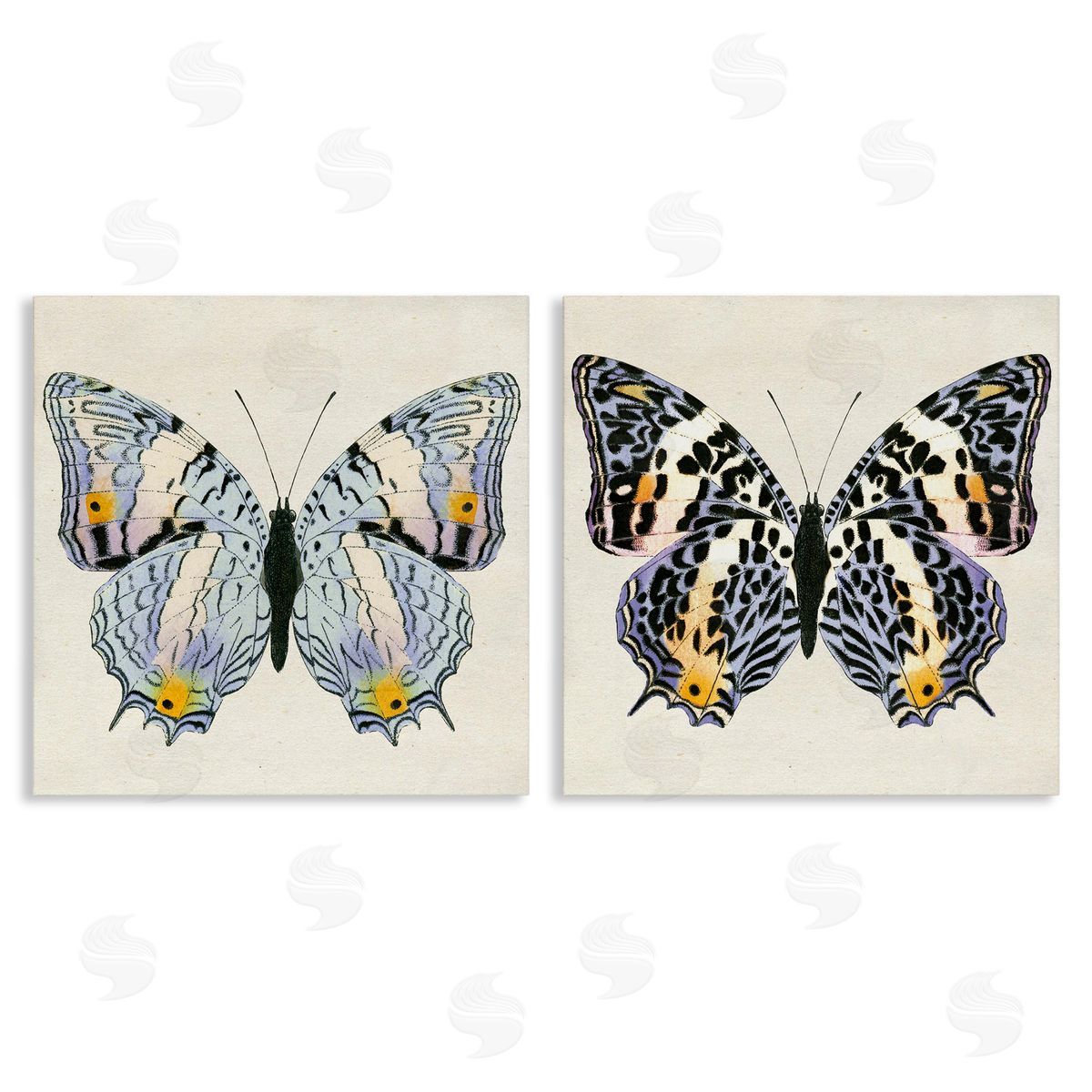 Butterflies with Yellow Details Canvas Wall Art, Home Decor by Susan Arnot