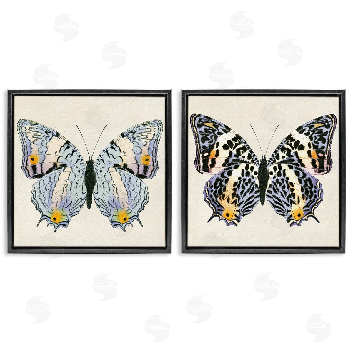 Butterflies with Yellow Details Black Floating Frame Canvas Wall Art, Home Decor by Susan Arnot