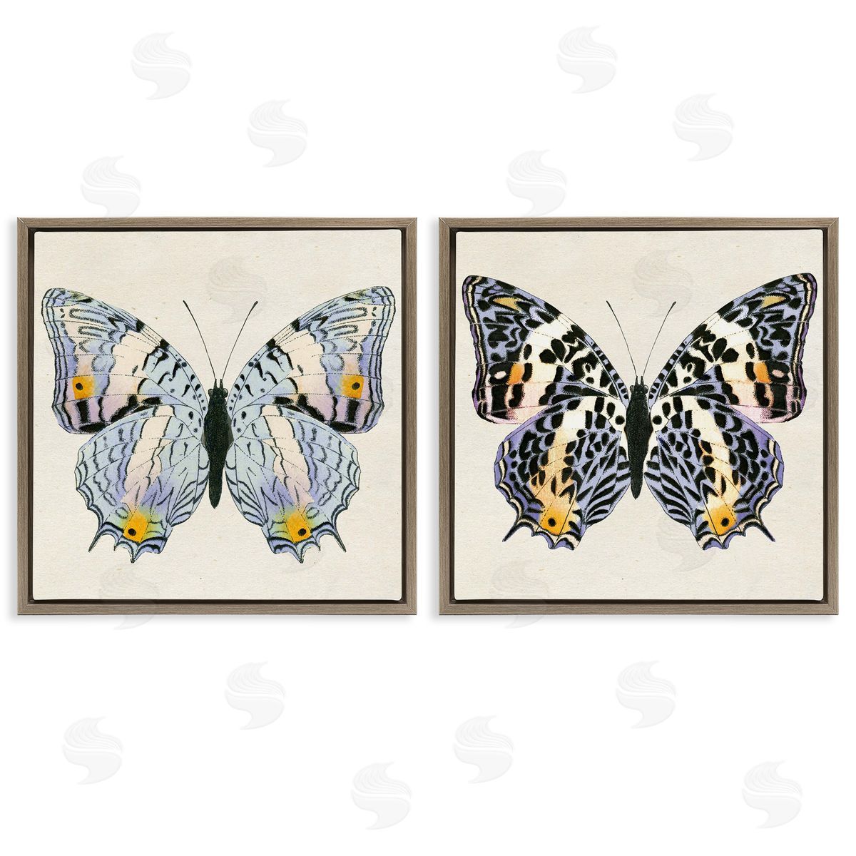 Butterflies with Yellow Details Brown Floating Frame Canvas Wall Art, Home Decor by Susan Arnot