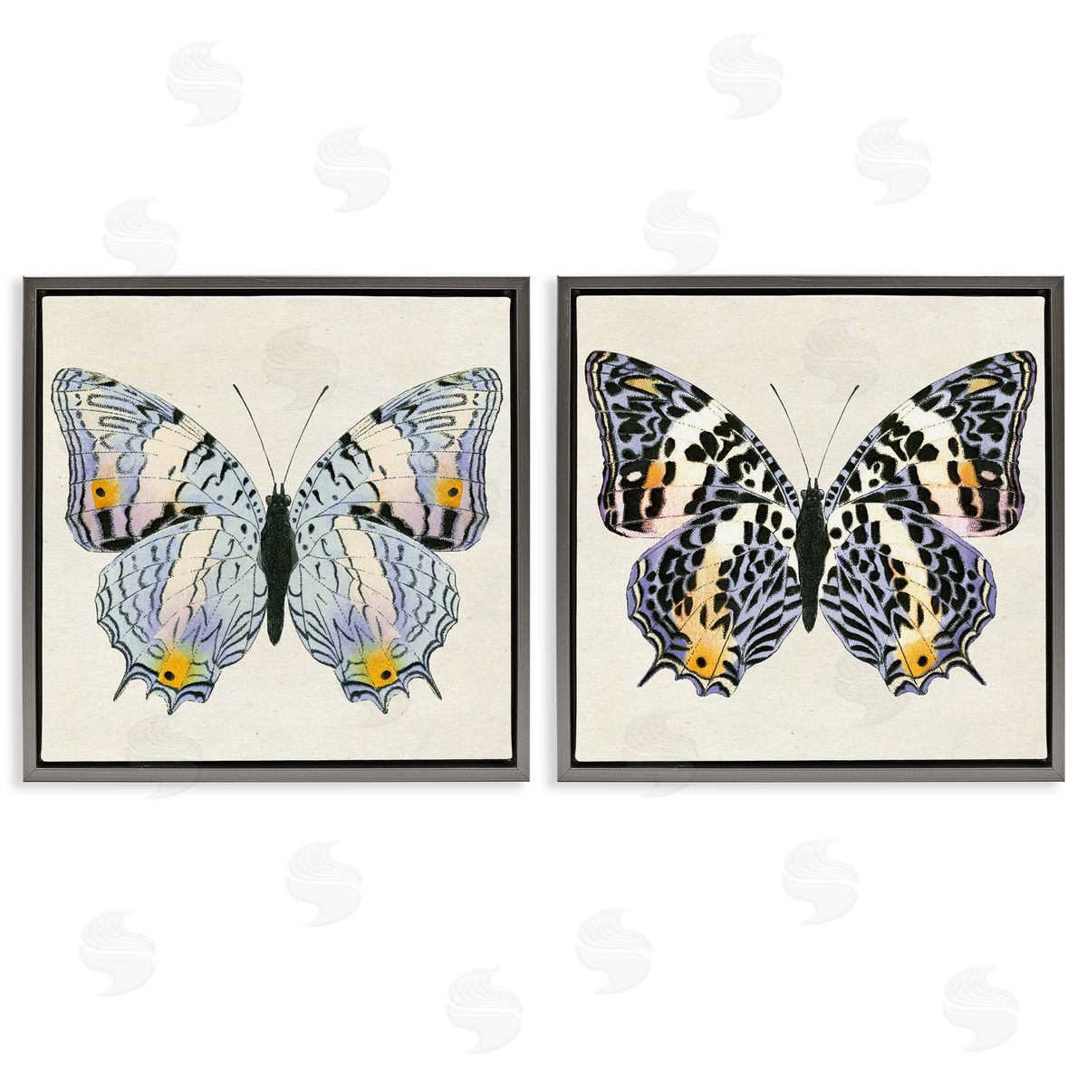 Butterflies with Yellow Details Grey Floating Frame Canvas Wall Art, Home Decor by Susan Arnot