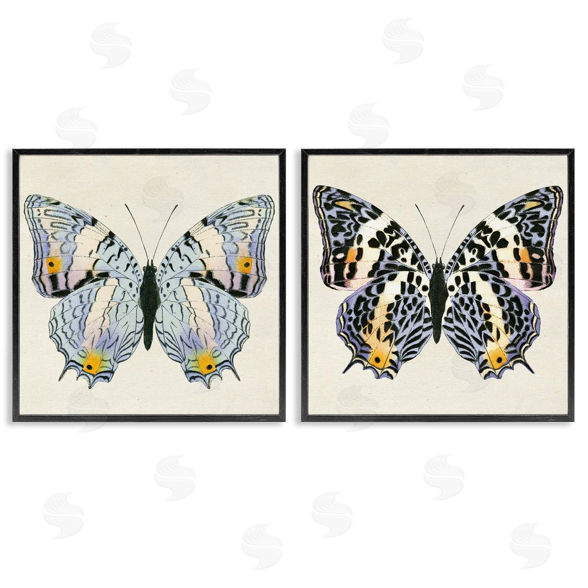Butterflies with Yellow Details Black Frame Print Wall Art, Home Decor by Susan Arnot