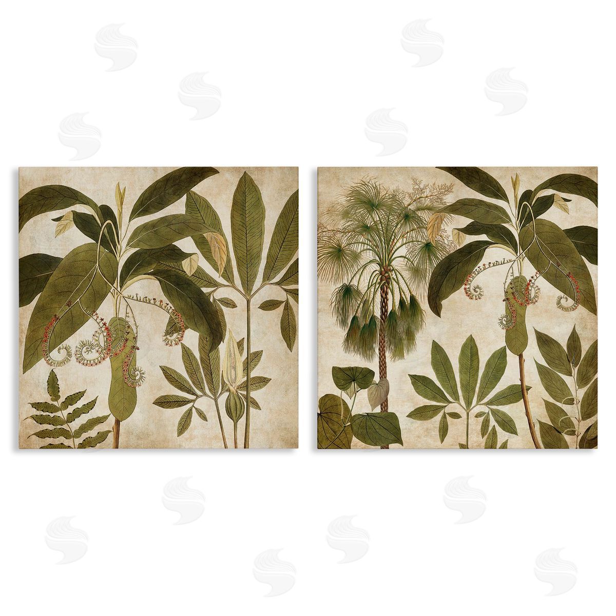 Vintage Botanical Tropics Canvas Wall Art, Home Decor by Chris Donovan