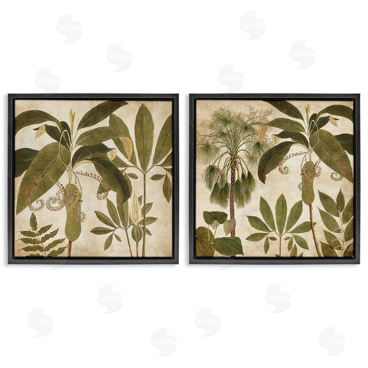 Vintage Botanical Tropics Black Floating Frame Canvas Wall Art, Home Decor by Chris Donovan