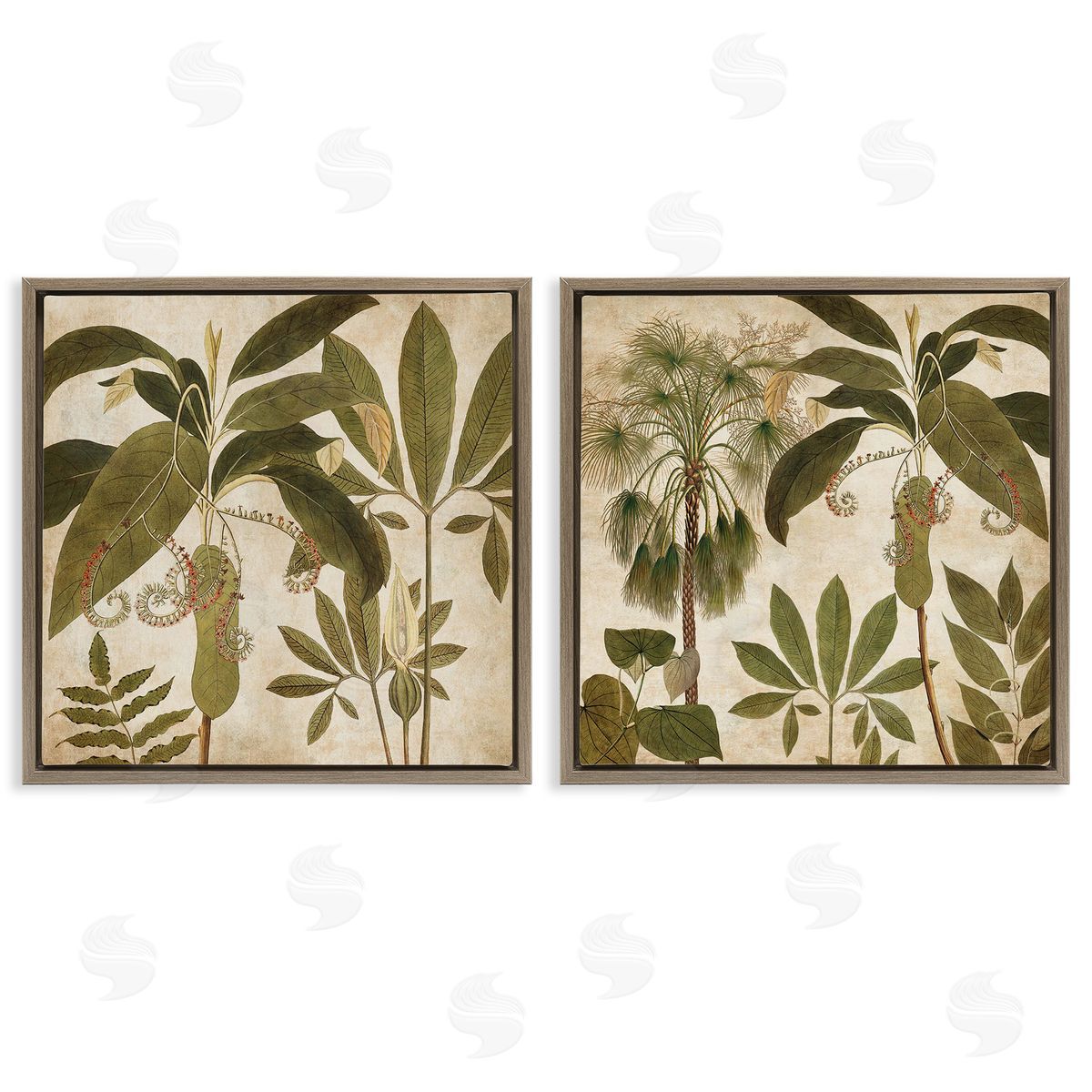 Vintage Botanical Tropics Brown Floating Frame Canvas Wall Art, Home Decor by Chris Donovan