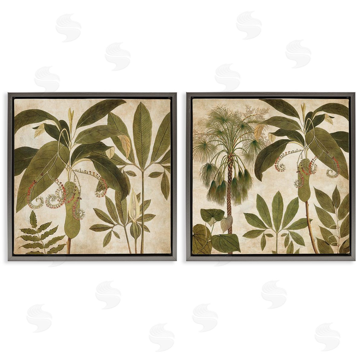 Vintage Botanical Tropics Grey Floating Frame Canvas Wall Art, Home Decor by Chris Donovan