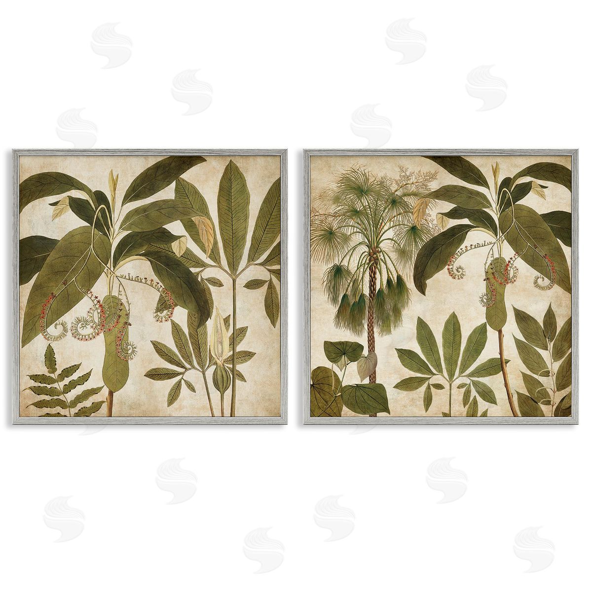 Vintage Botanical Tropics Grey Frame Print Wall Art, Home Decor by Chris Donovan