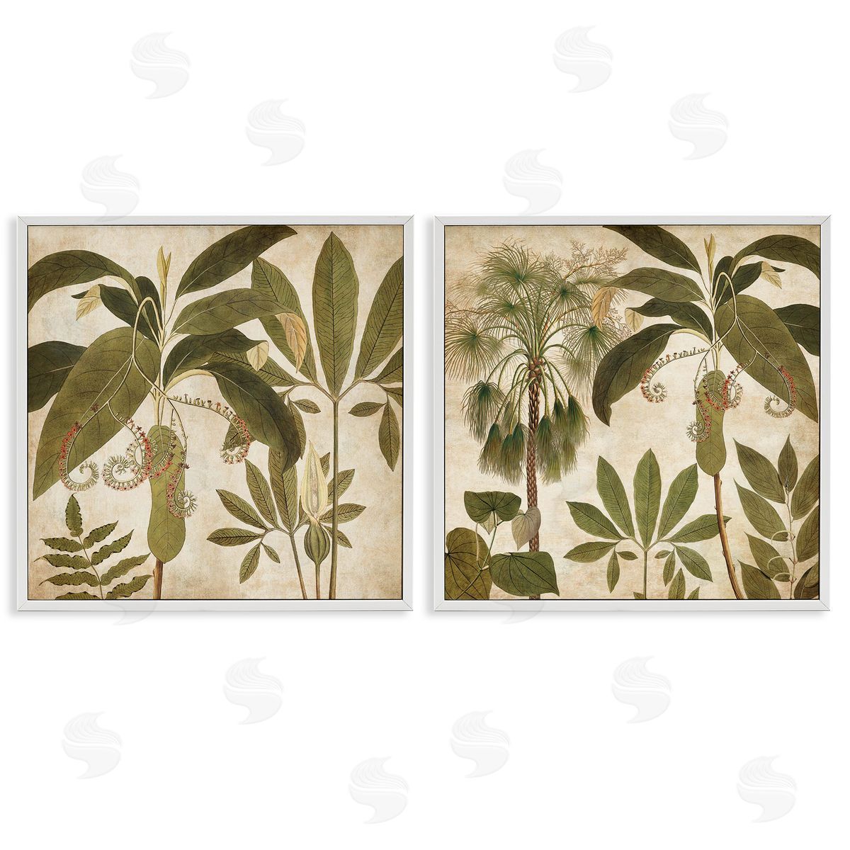 Vintage Botanical Tropics White Frame Print Wall Art, Home Decor by Chris Donovan