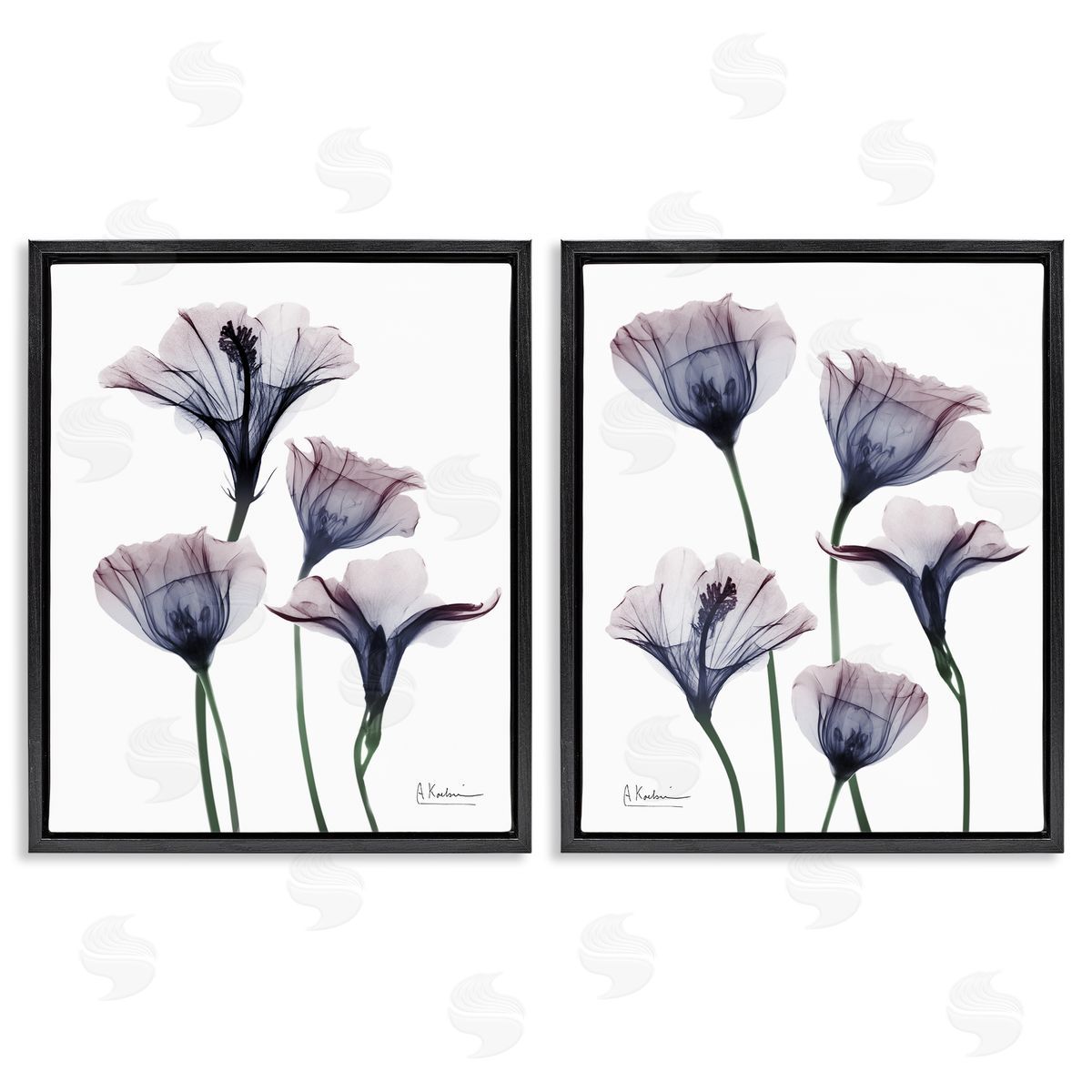 Bountiful Dusk Lilies Black Floating Frame Canvas Wall Art, Home Decor by Albert Koetsier