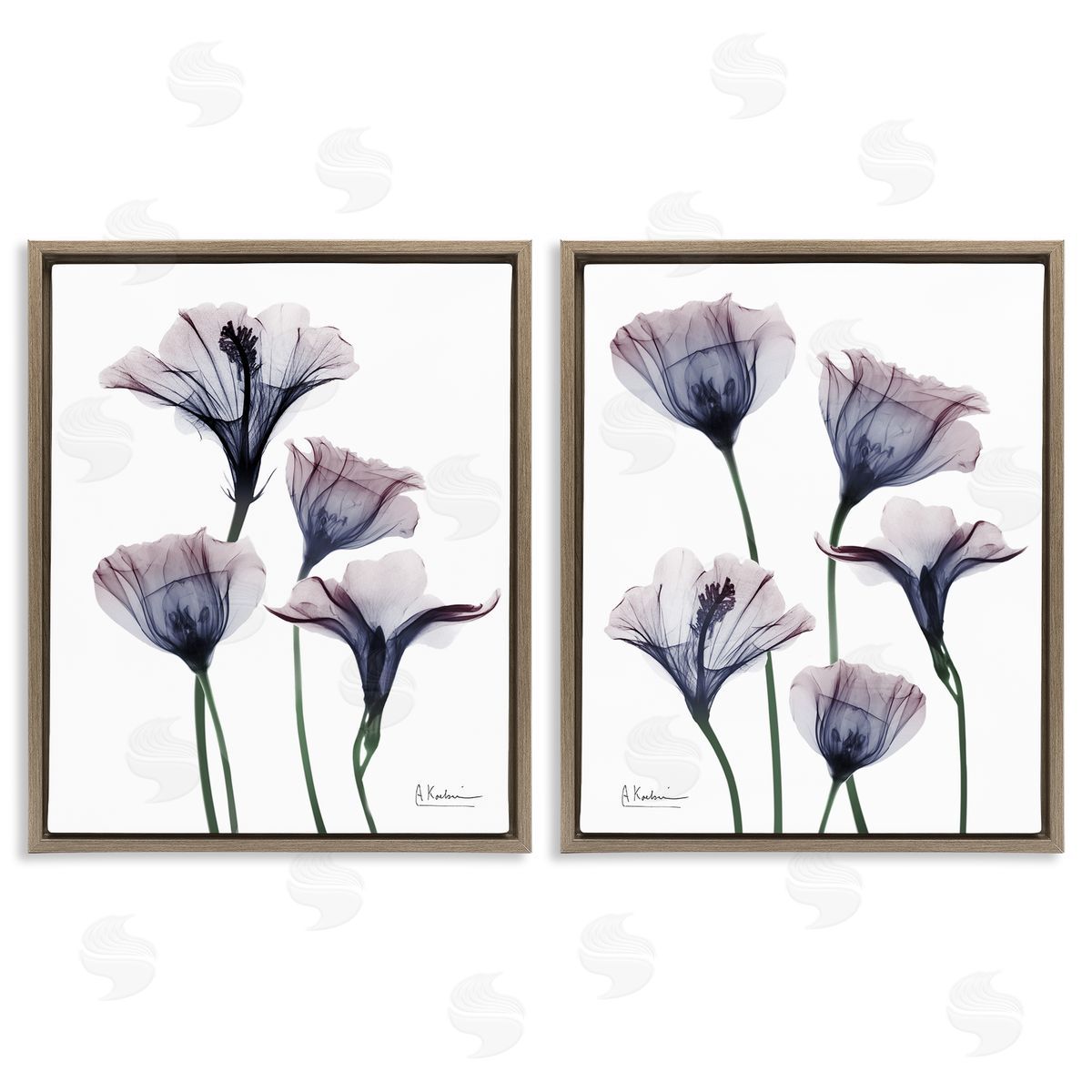 Bountiful Dusk Lilies Brown Floating Frame Canvas Wall Art, Home Decor by Albert Koetsier