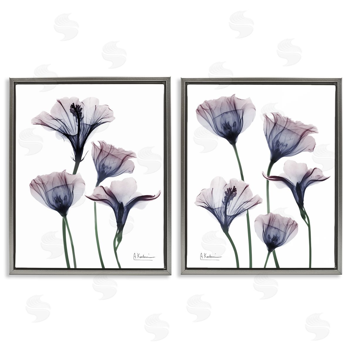 Bountiful Dusk Lilies Grey Floating Frame Canvas Wall Art, Home Decor by Albert Koetsier