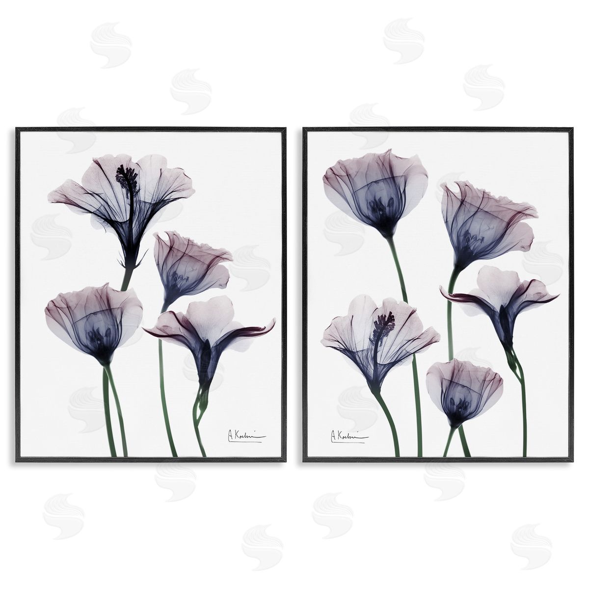 Bountiful Dusk Lilies Black Frame Print Wall Art, Home Decor by Albert Koetsier